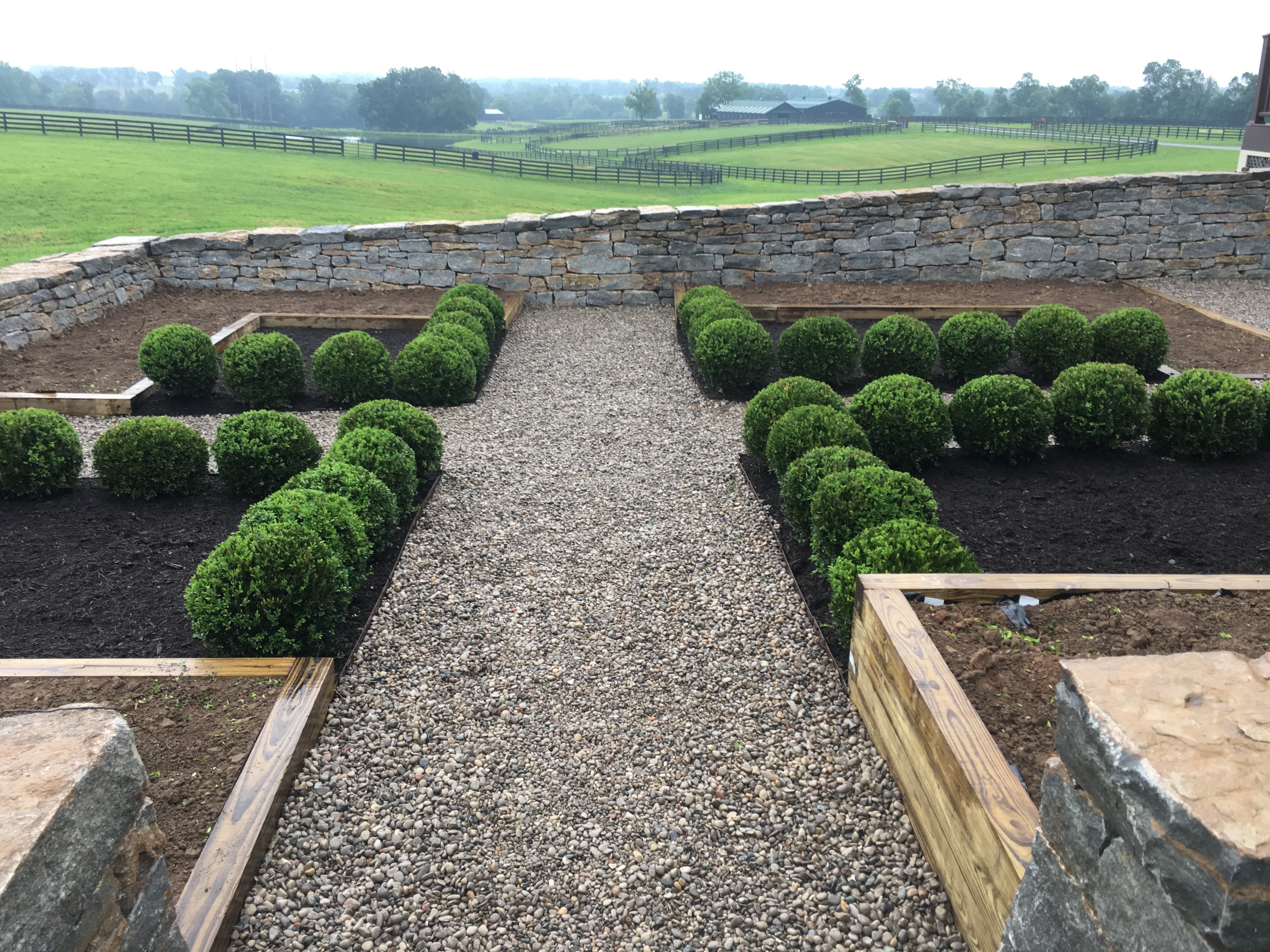 Landscapers working on garden beds with vibrant pink flowering bushes