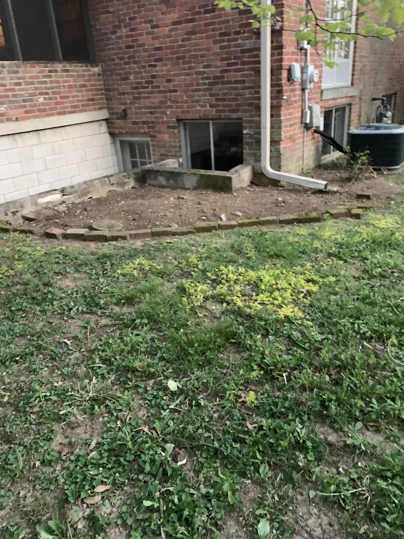 Cleaned landscape bed along a residential property in Central Kentucky