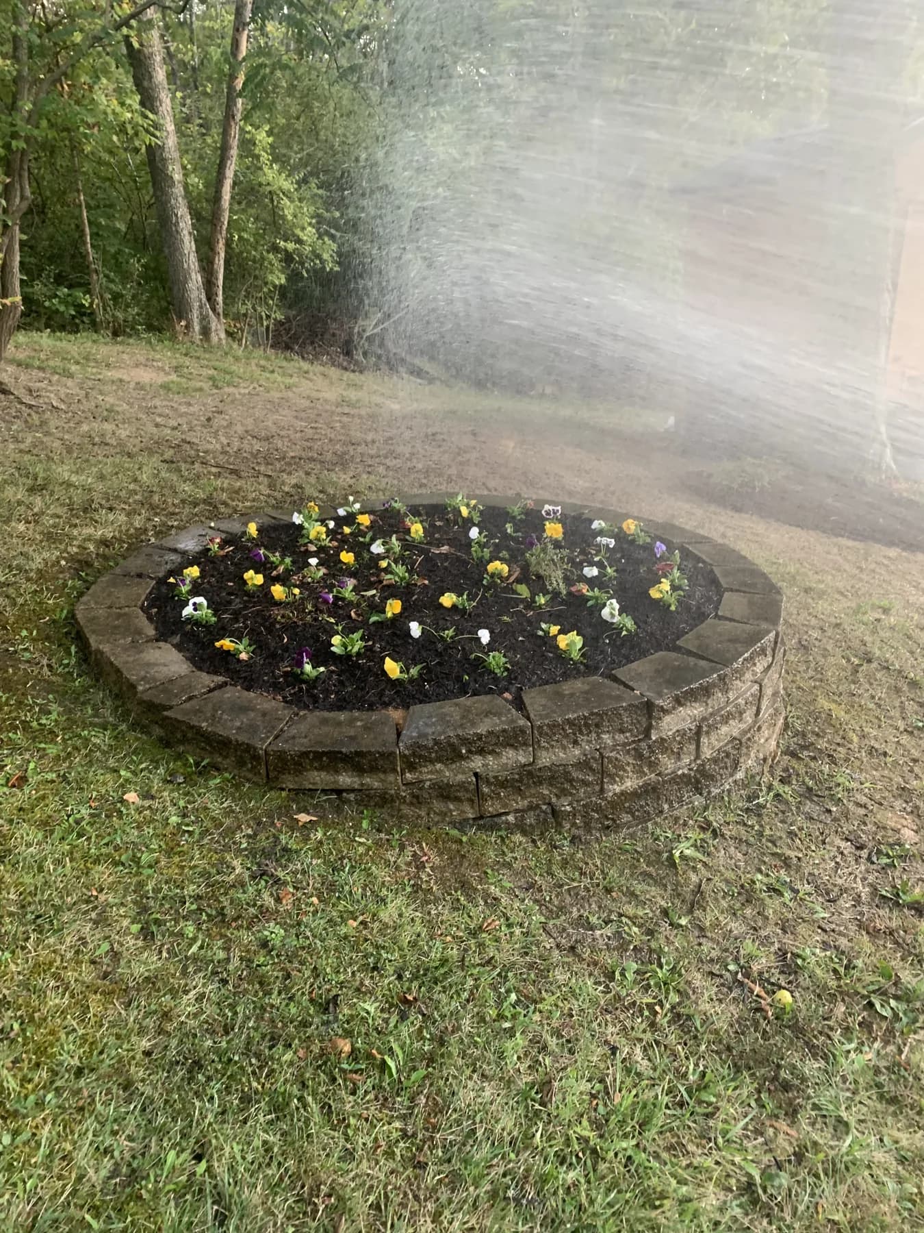 Fresh mulch in a flower bed along a retaining wall with precise edge lines