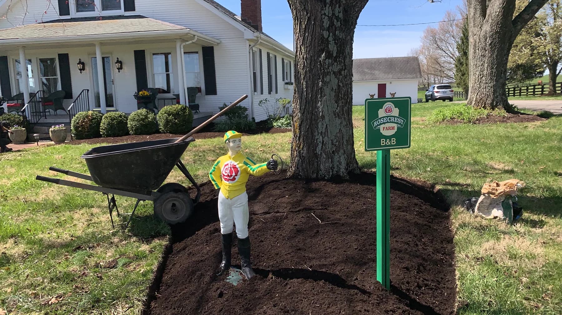 Fresh mulch ring around a tree on a rural Central Kentucky property