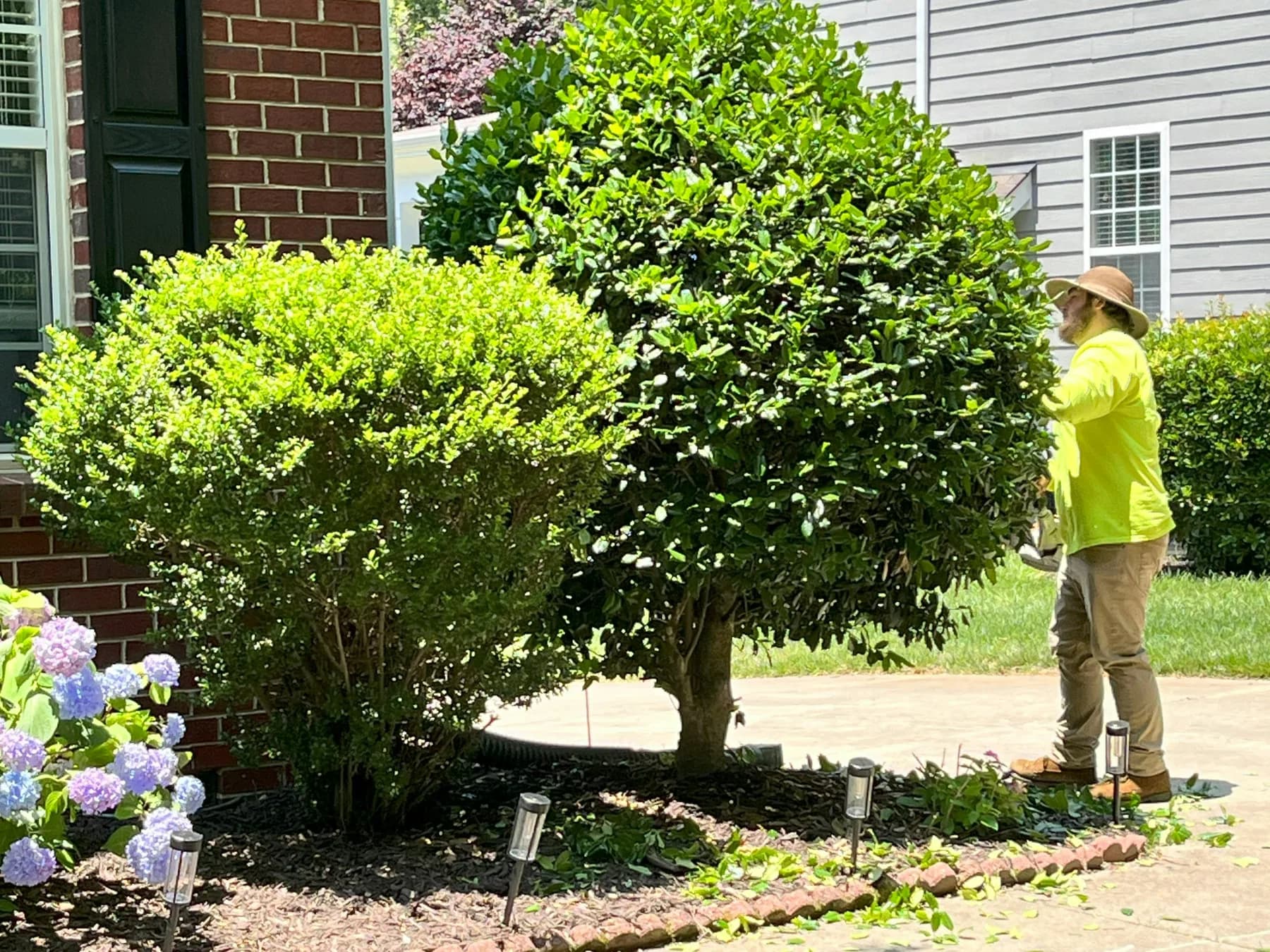 Ornamental Shrub Trimming gallery image 4
