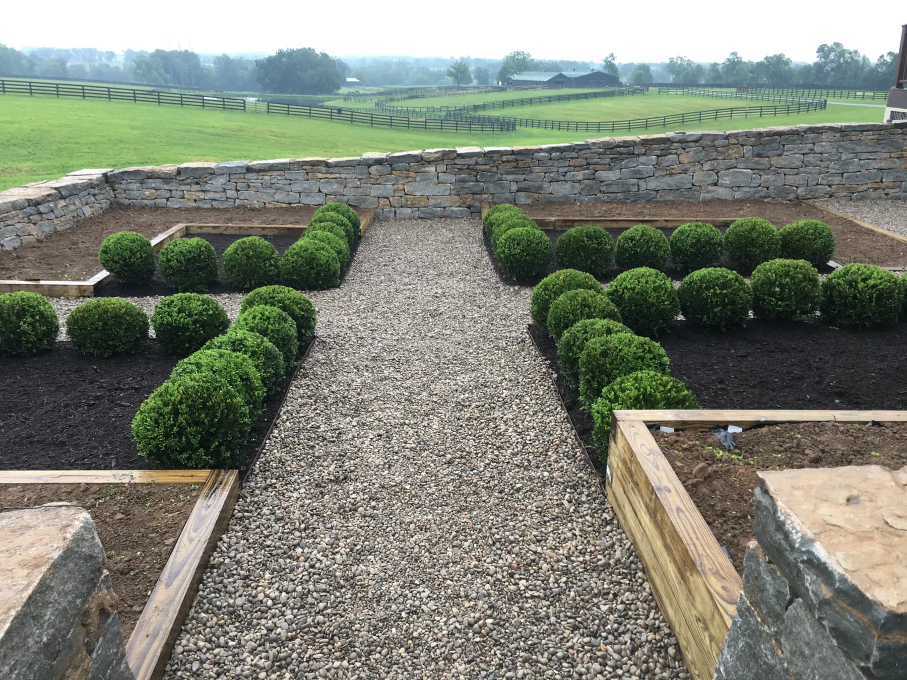 Gravel walkway and boxwood landscape design in Lexington, KY — a finished design example