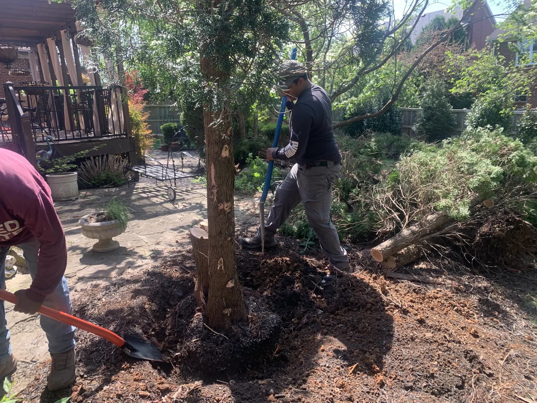 Shovel work during tree removal and site cleanup at a Lexington, KY property