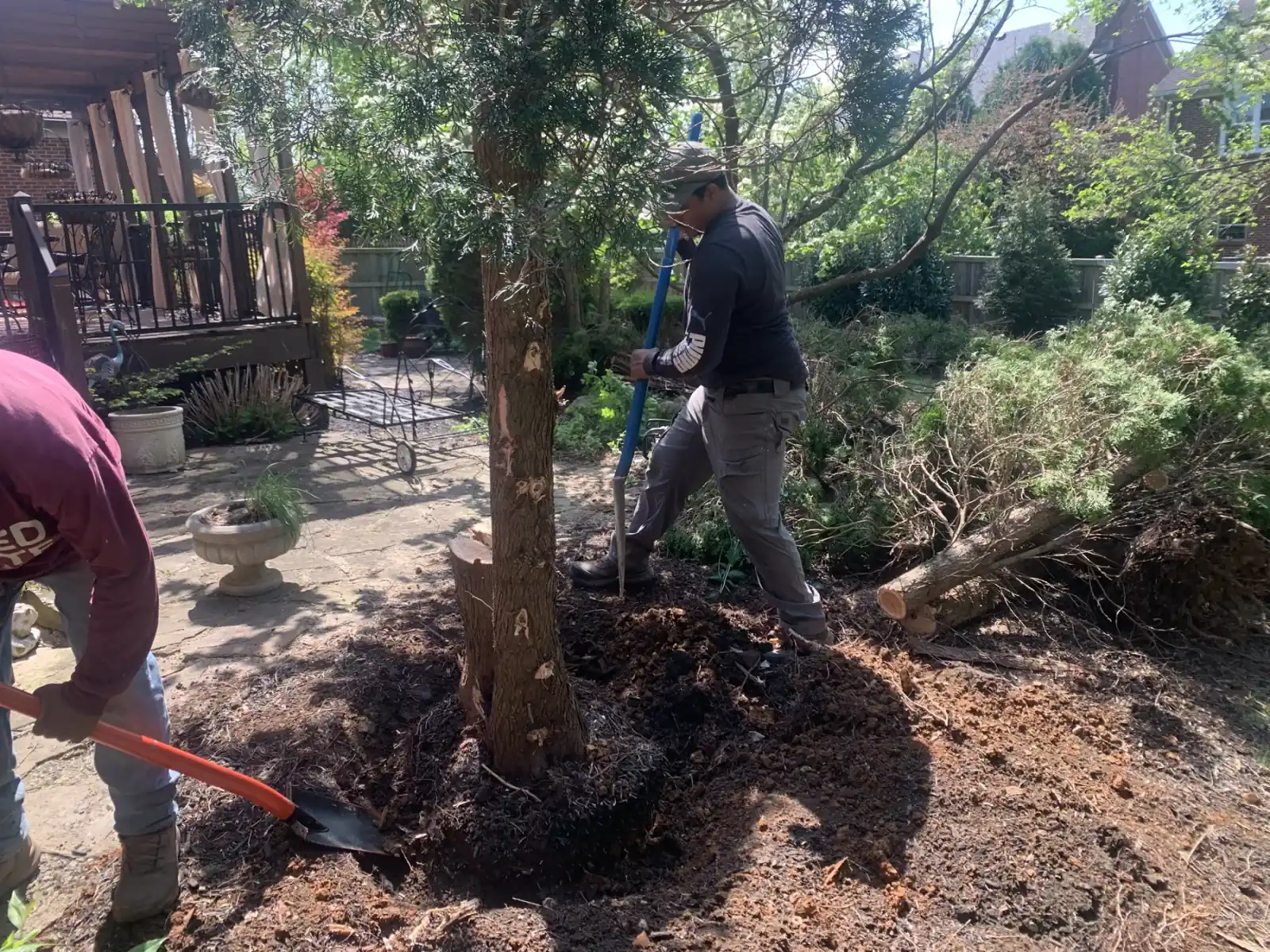 Shovel work during tree removal and site cleanup at a Lexington, KY property