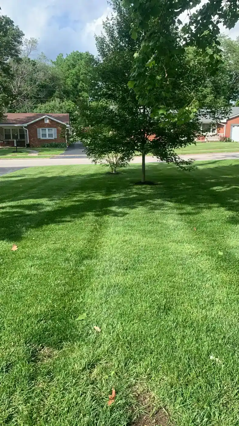 Weekly Lawn Finish