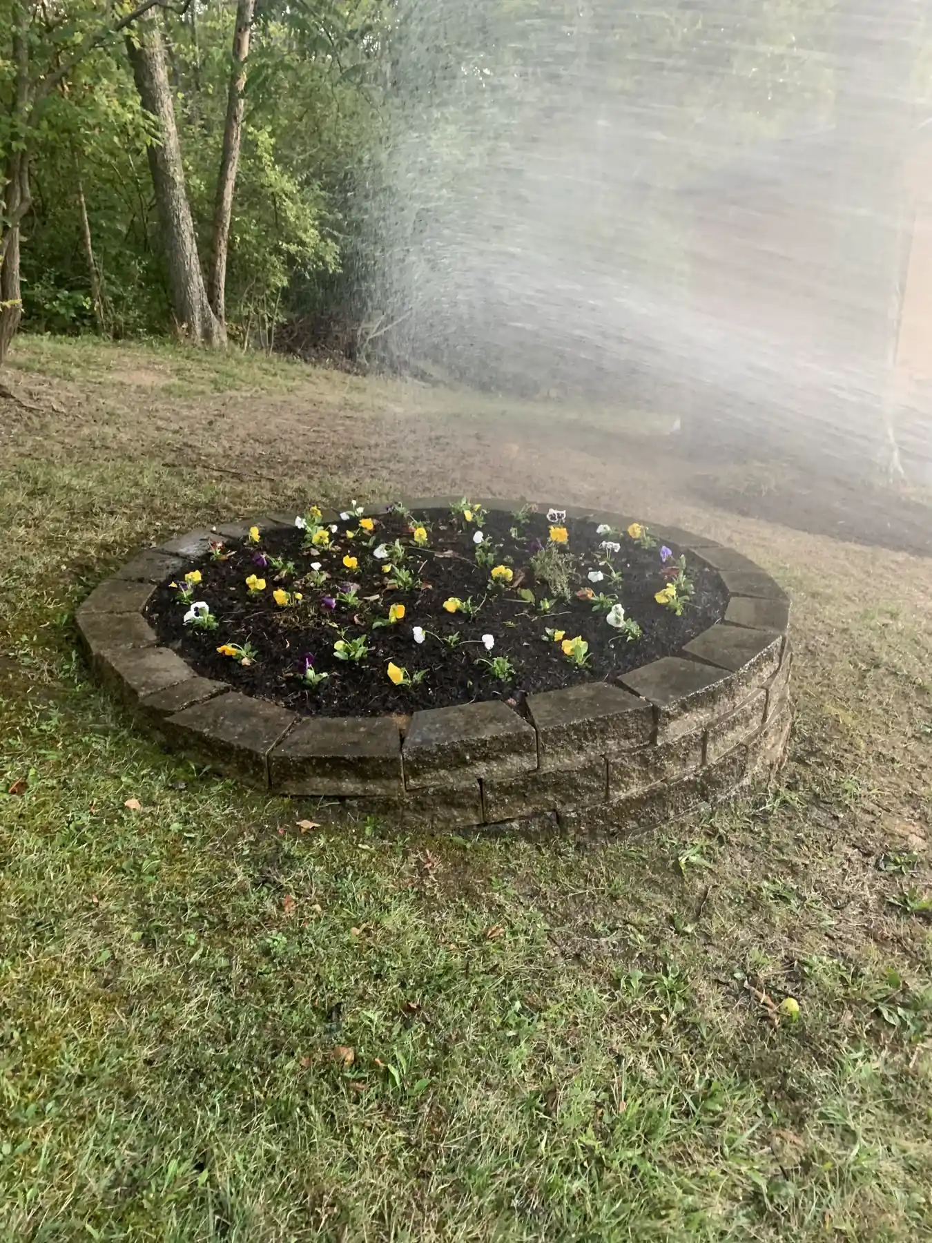 Fresh mulch in a flower bed along a retaining wall with precise edge lines