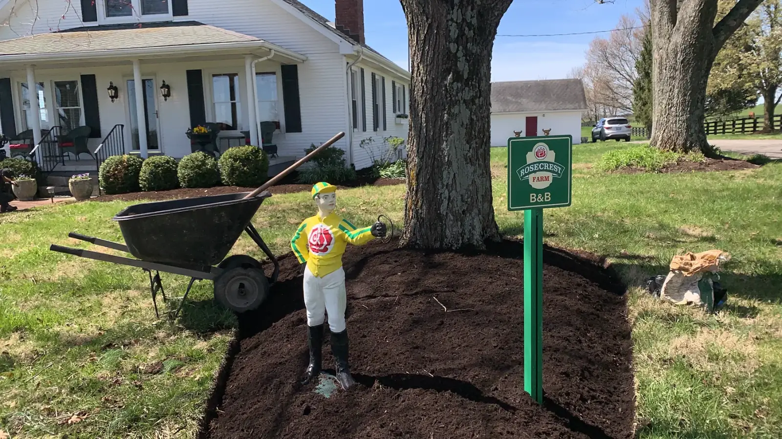 Fresh mulch ring around a tree on a rural Central Kentucky property