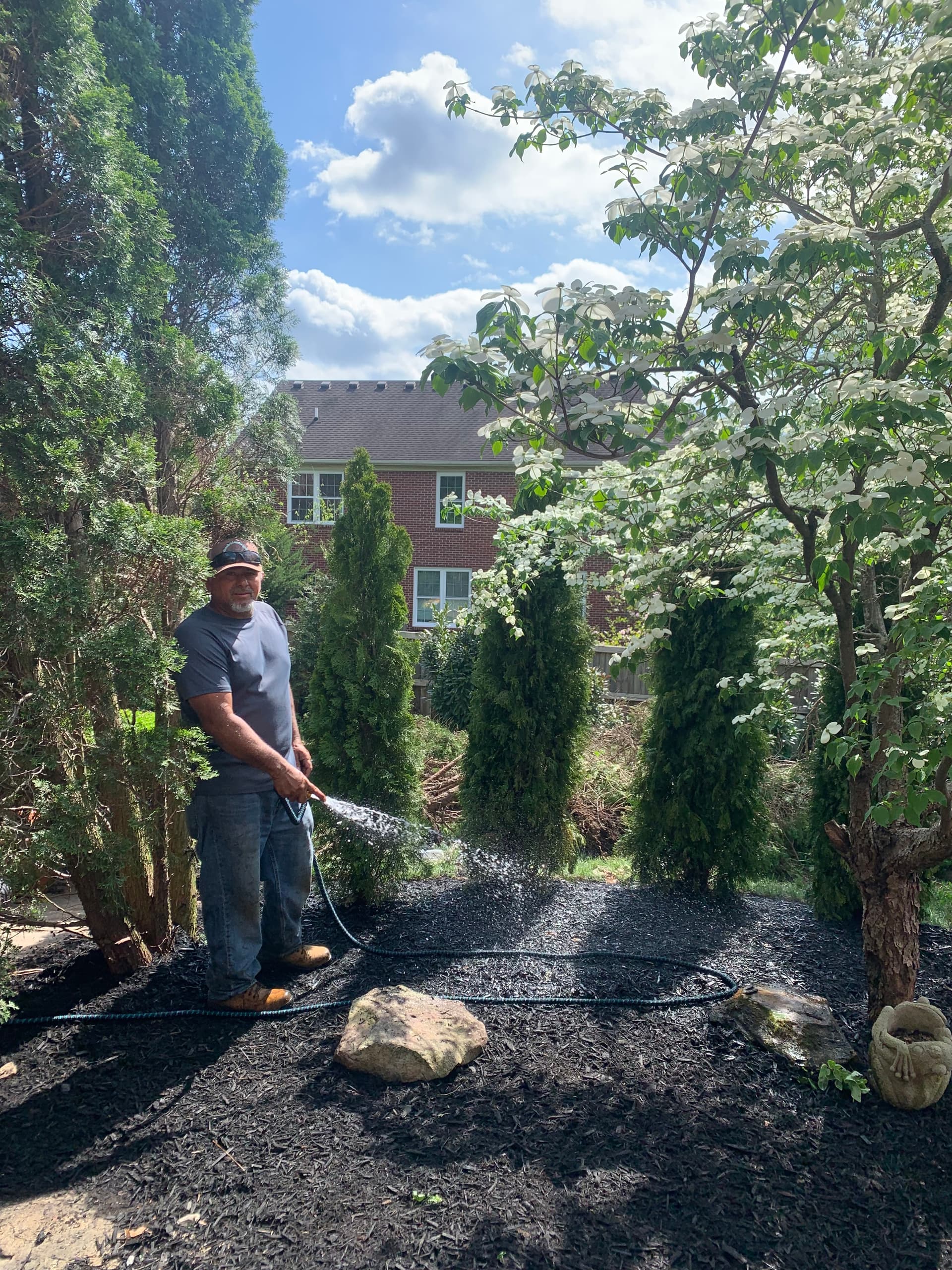 Privacy Tree Row Install