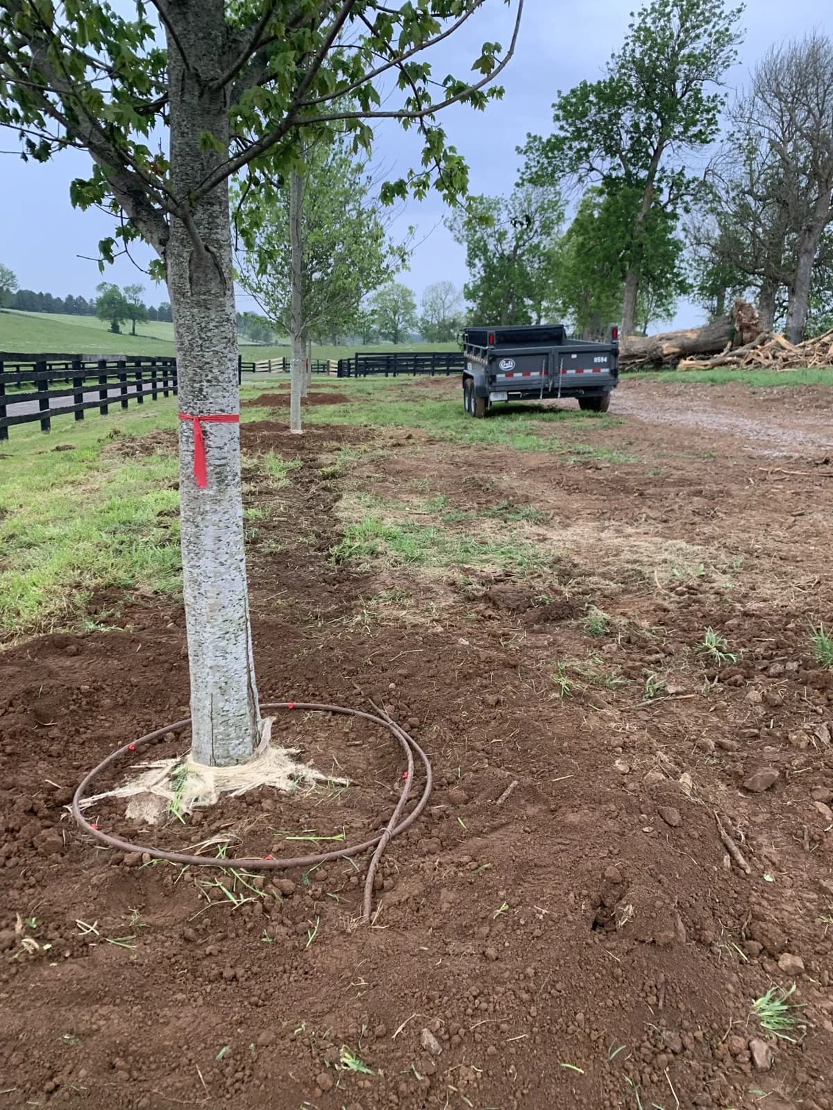 Paris Farm 113-Tree Install gallery image 4