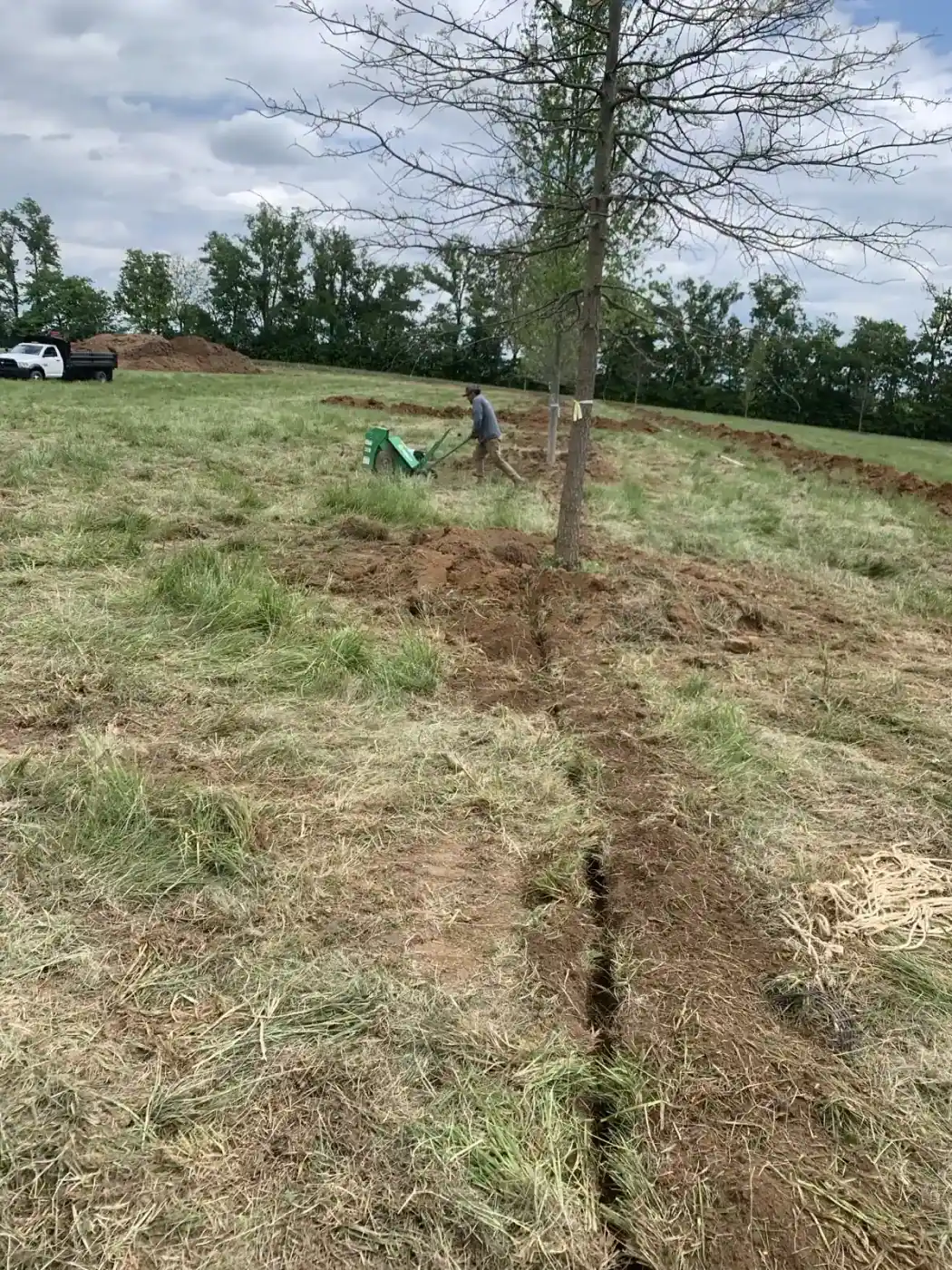 Georgetown Road 113-Tree Farm Install gallery image 7