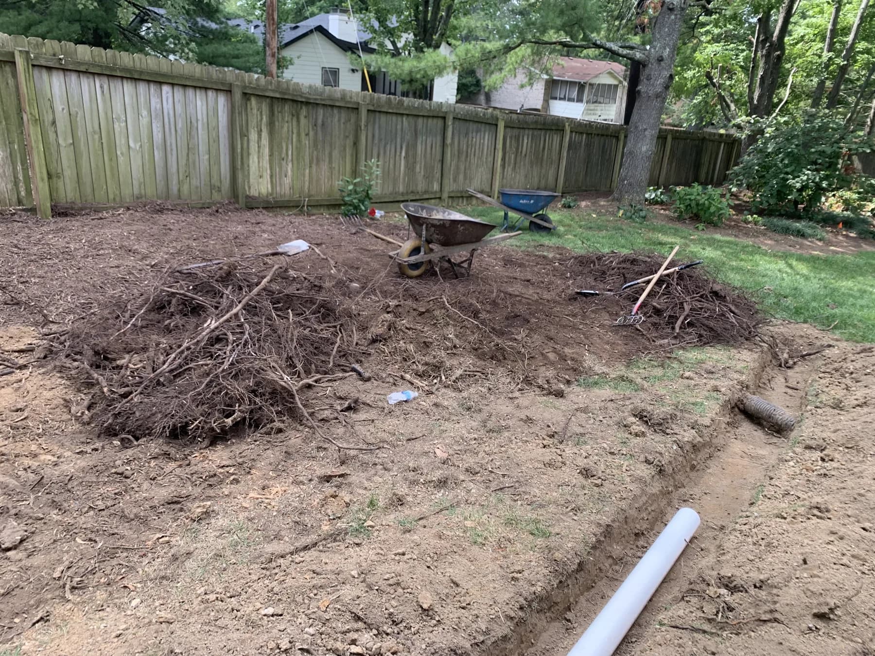 Backyard landscape cleanup with brush and debris removal in Lexington, KY