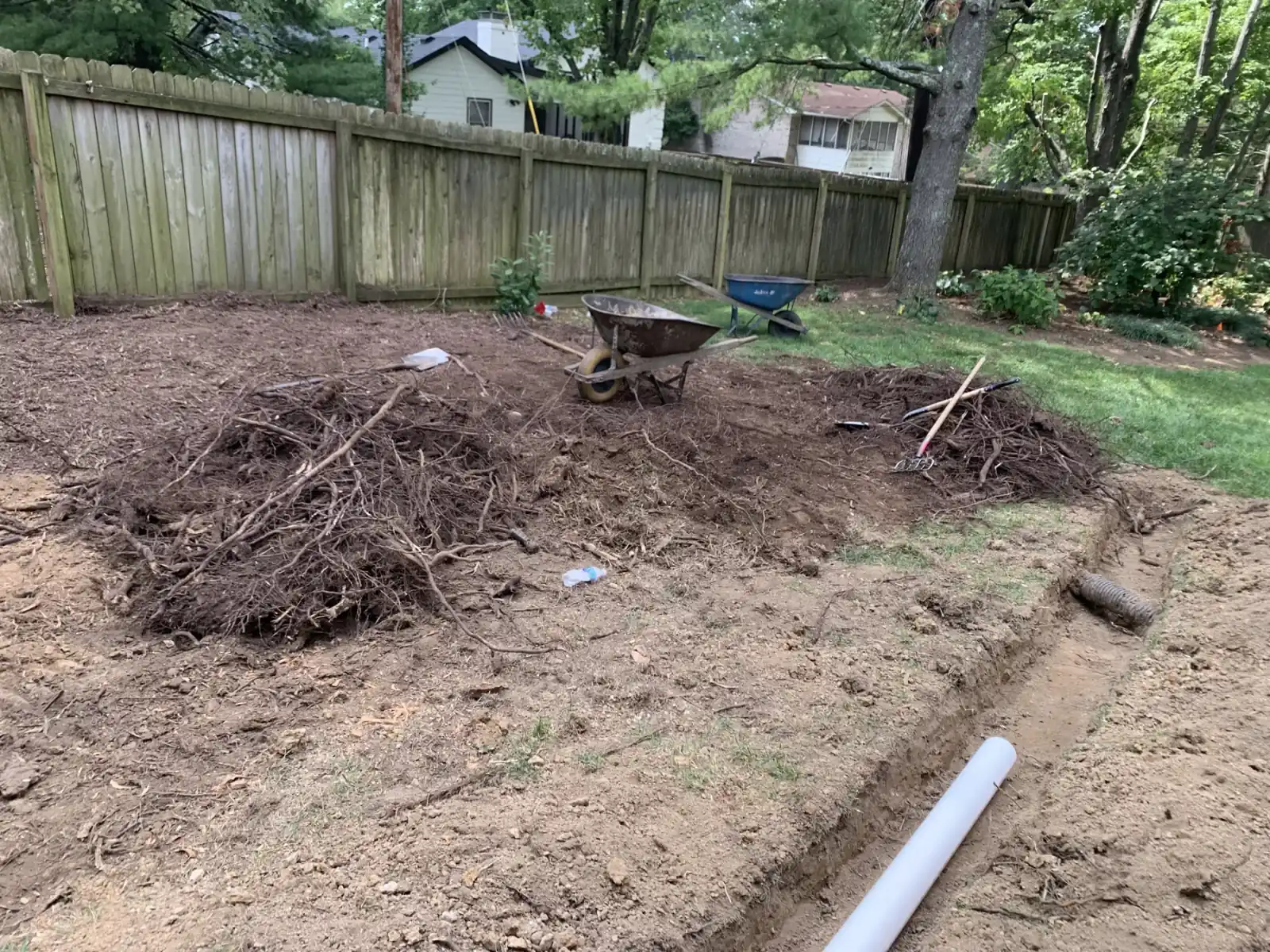 Backyard landscape cleanup with brush and debris removal in Lexington, KY