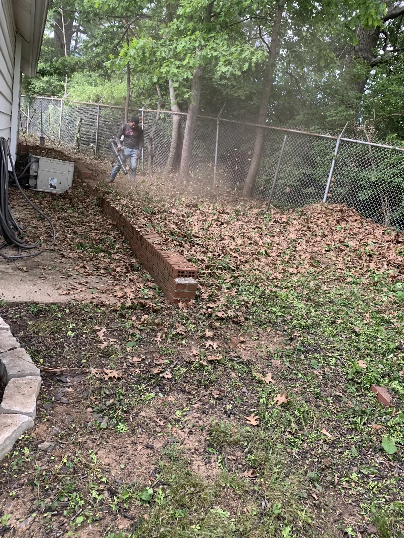Cynthiana Heavy Debris & Leaf Cleanup gallery image 6