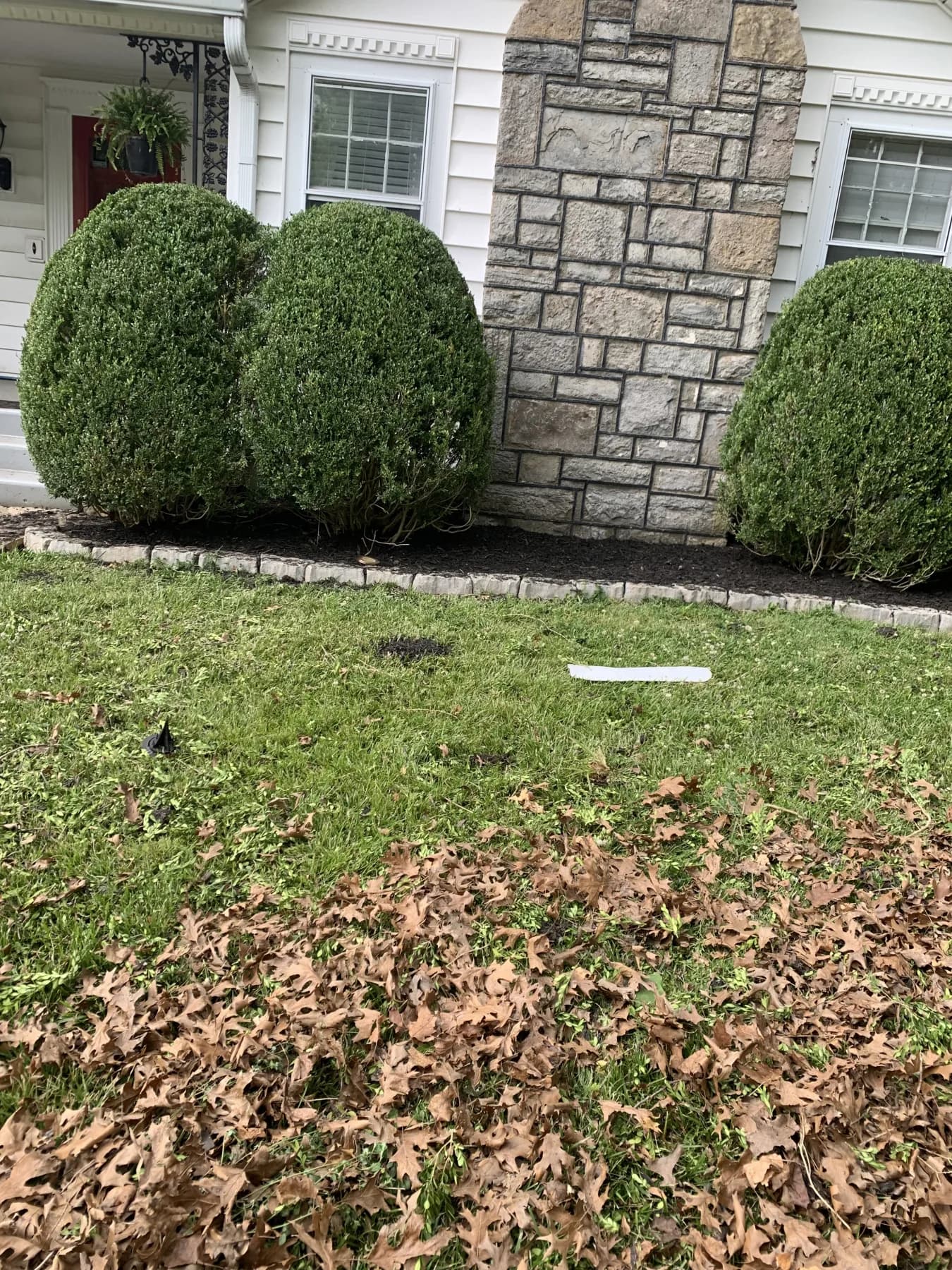 Cynthiana Heavy Debris & Leaf Cleanup gallery image 10