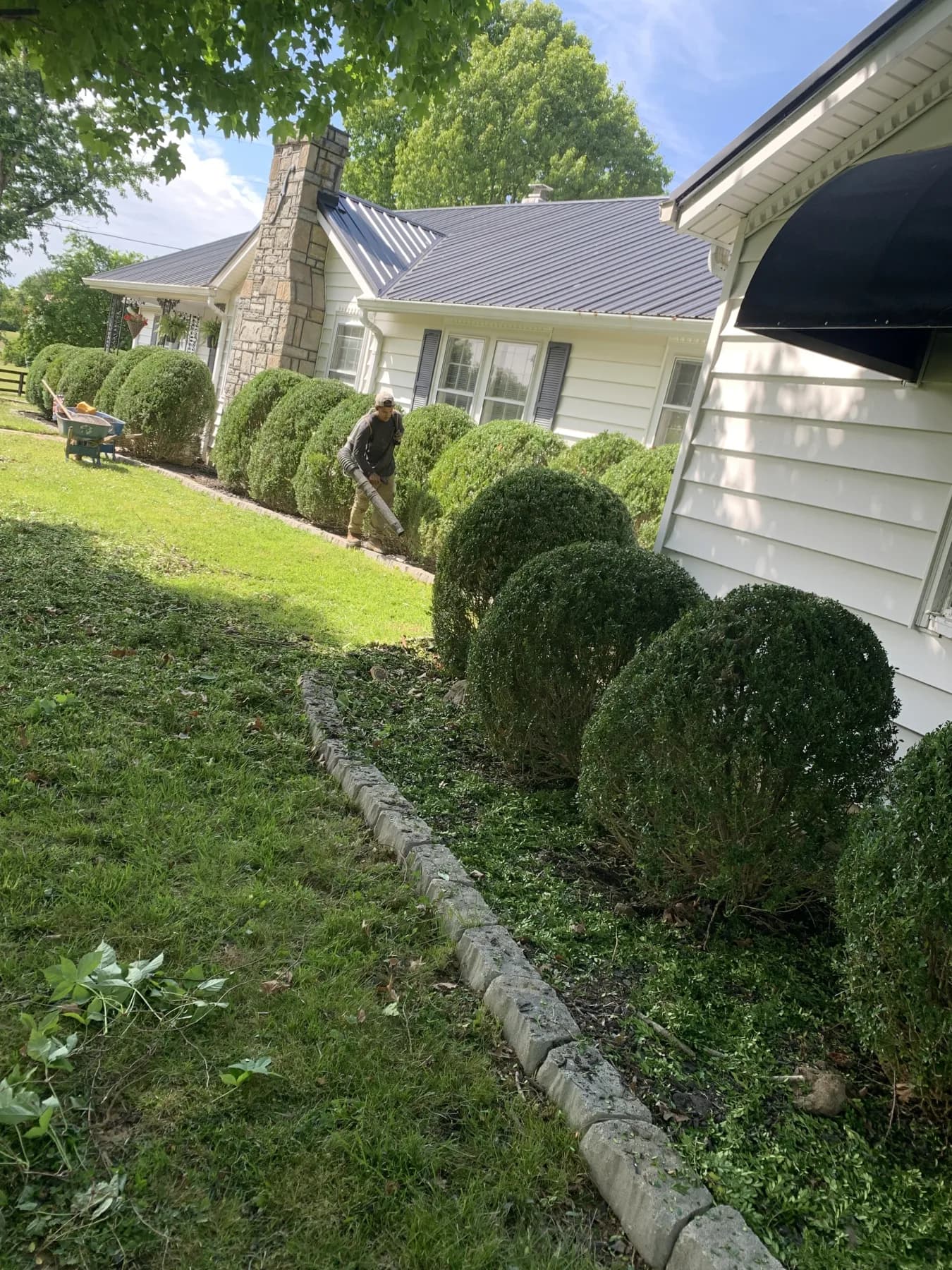 Cynthiana Heavy Debris & Leaf Cleanup gallery image 5