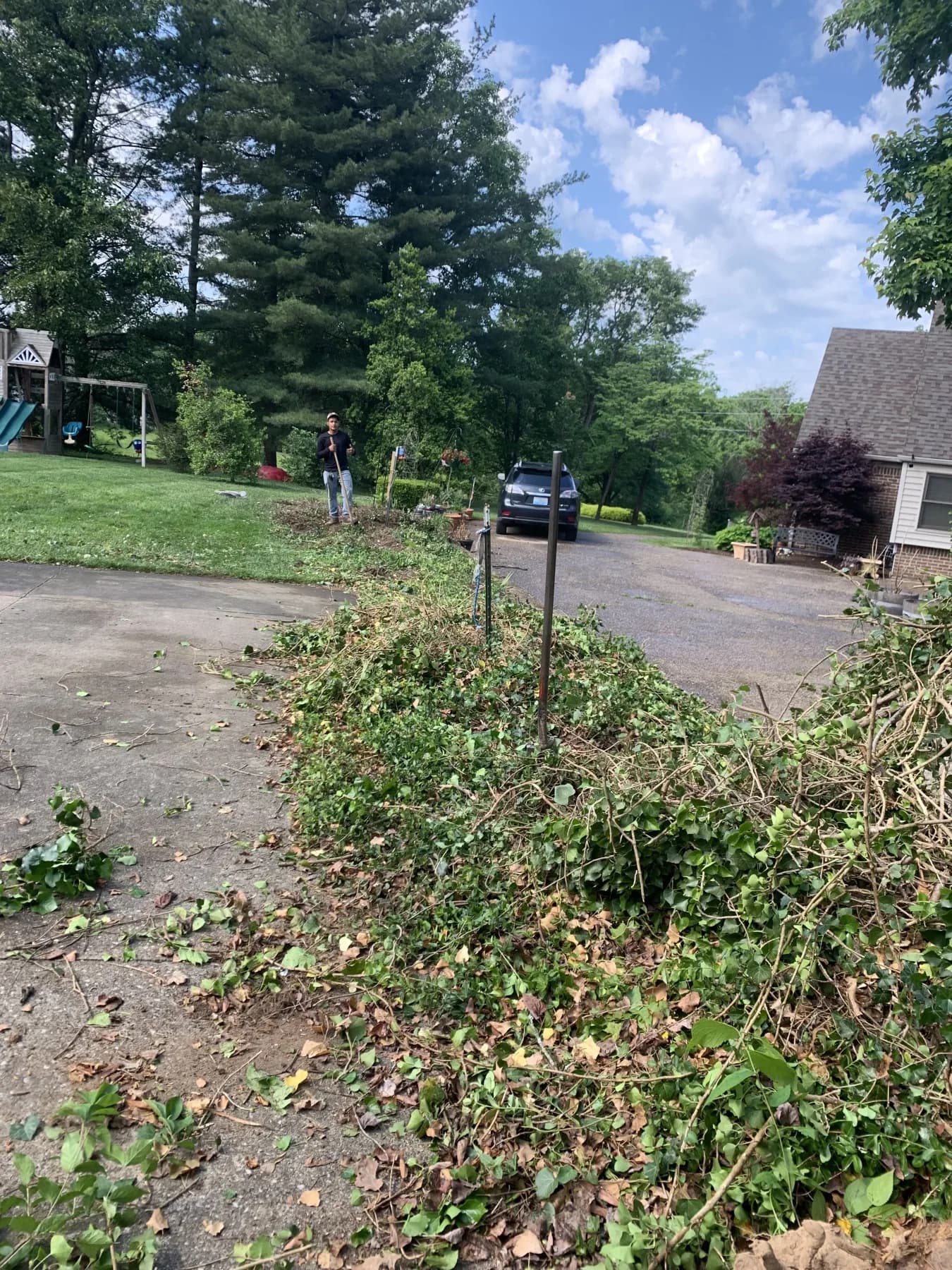 Cynthiana Heavy Debris & Leaf Cleanup gallery image 2