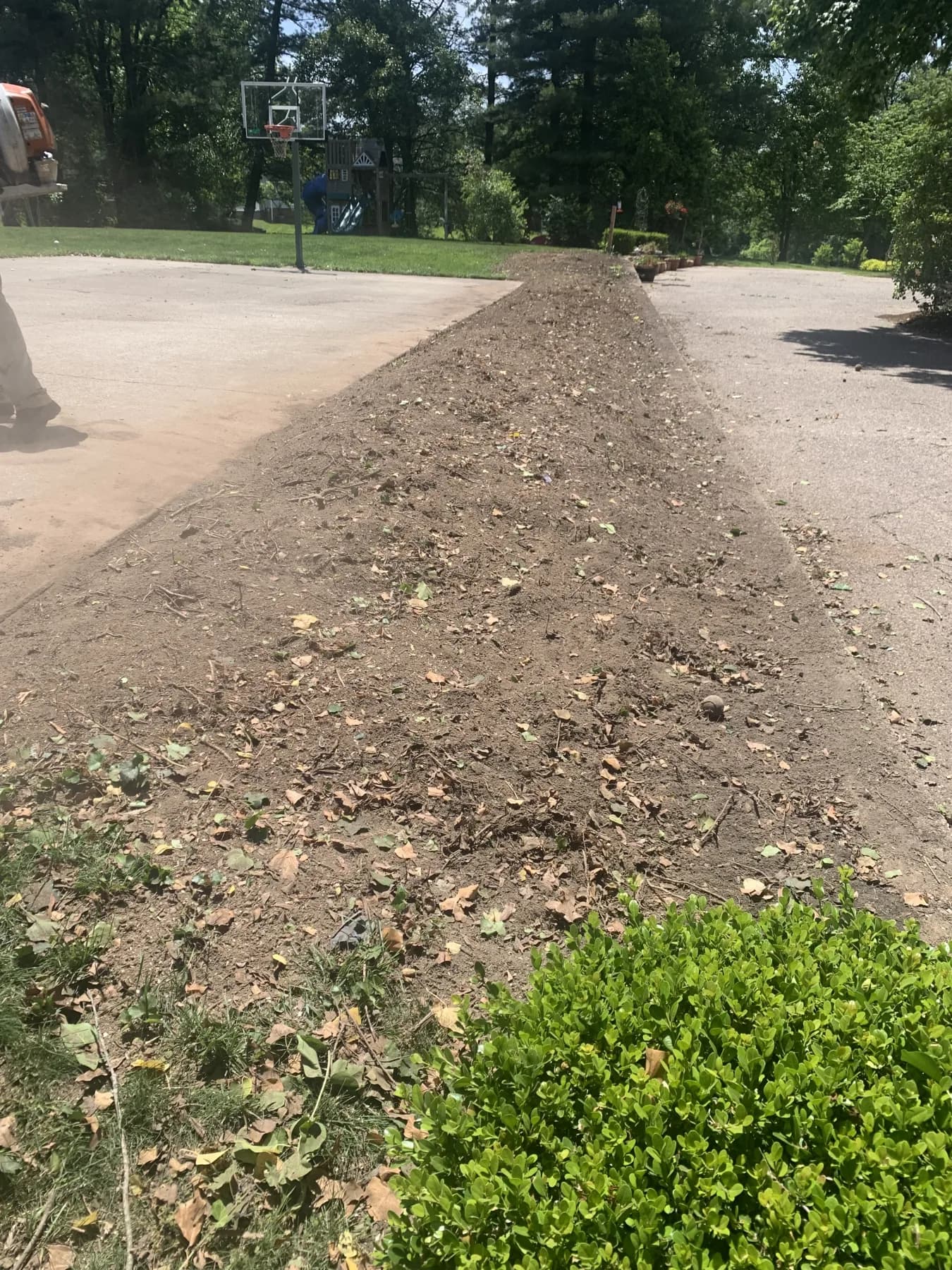Cynthiana Heavy Debris & Leaf Cleanup gallery image 4