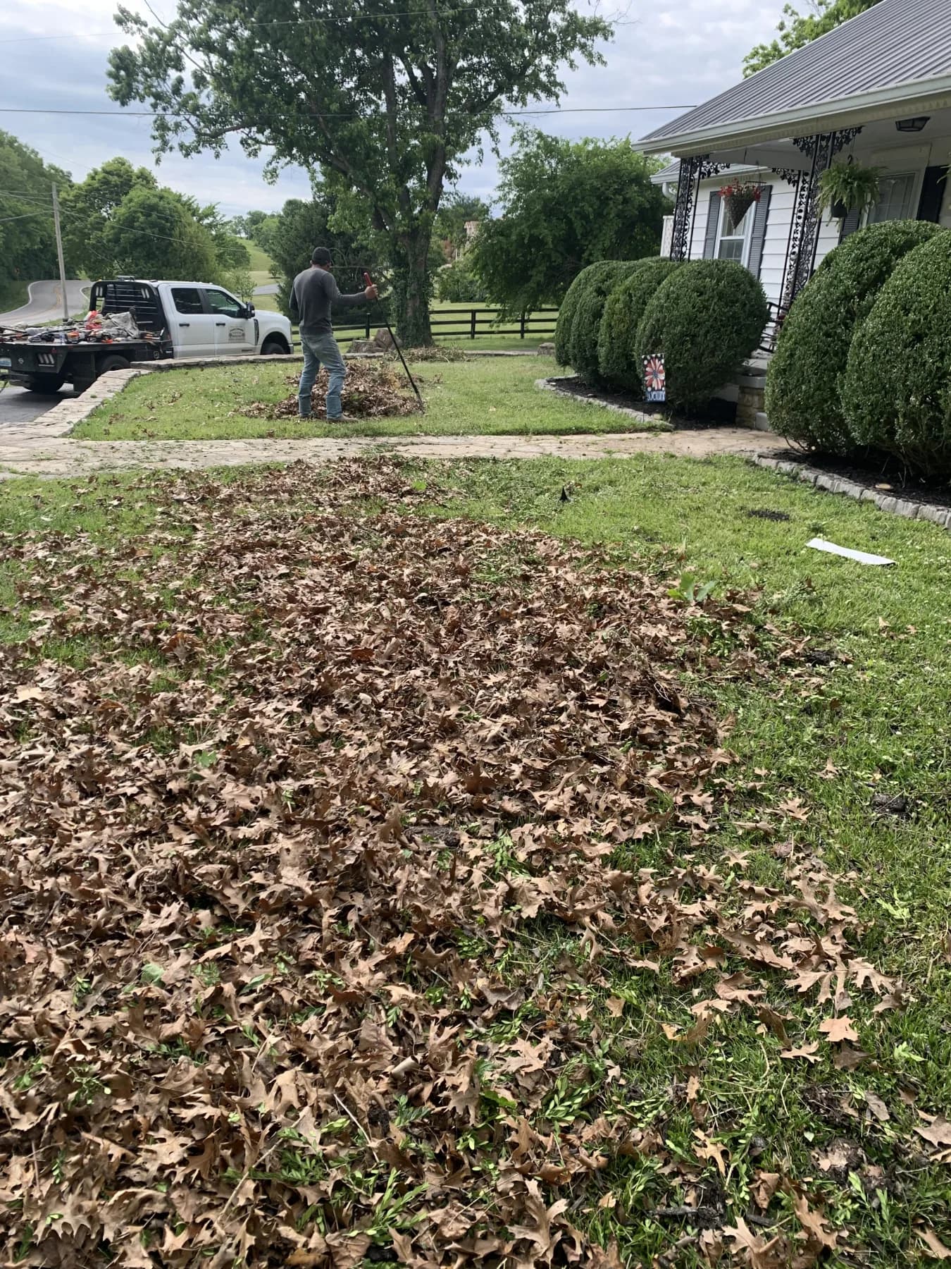 Cynthiana Heavy Debris & Leaf Cleanup gallery image 9