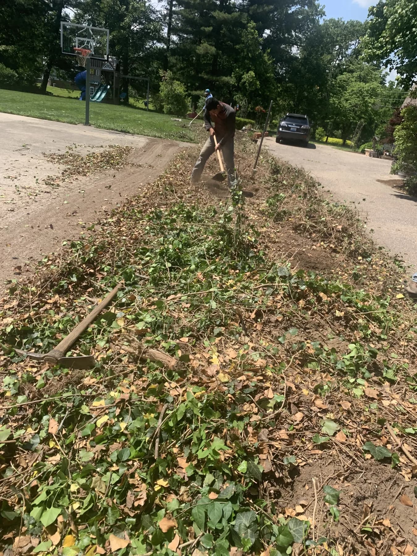 Cynthiana Heavy Debris & Leaf Cleanup gallery image 3