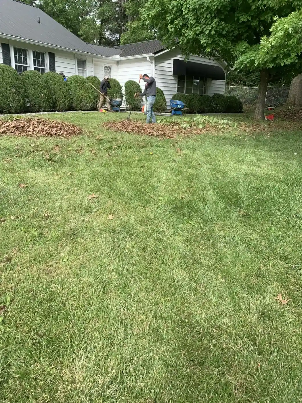 Cynthiana Heavy Debris & Leaf Cleanup gallery image 13