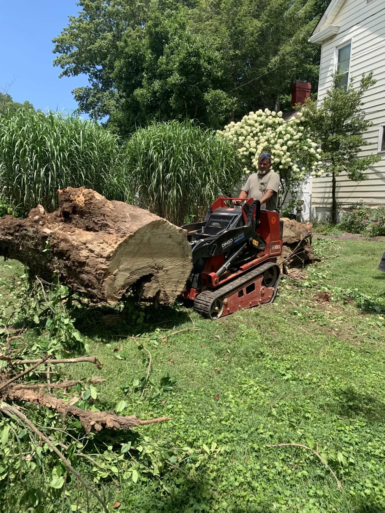 Mini loader removing tree logs and debris from a residential property in Lexington, KY