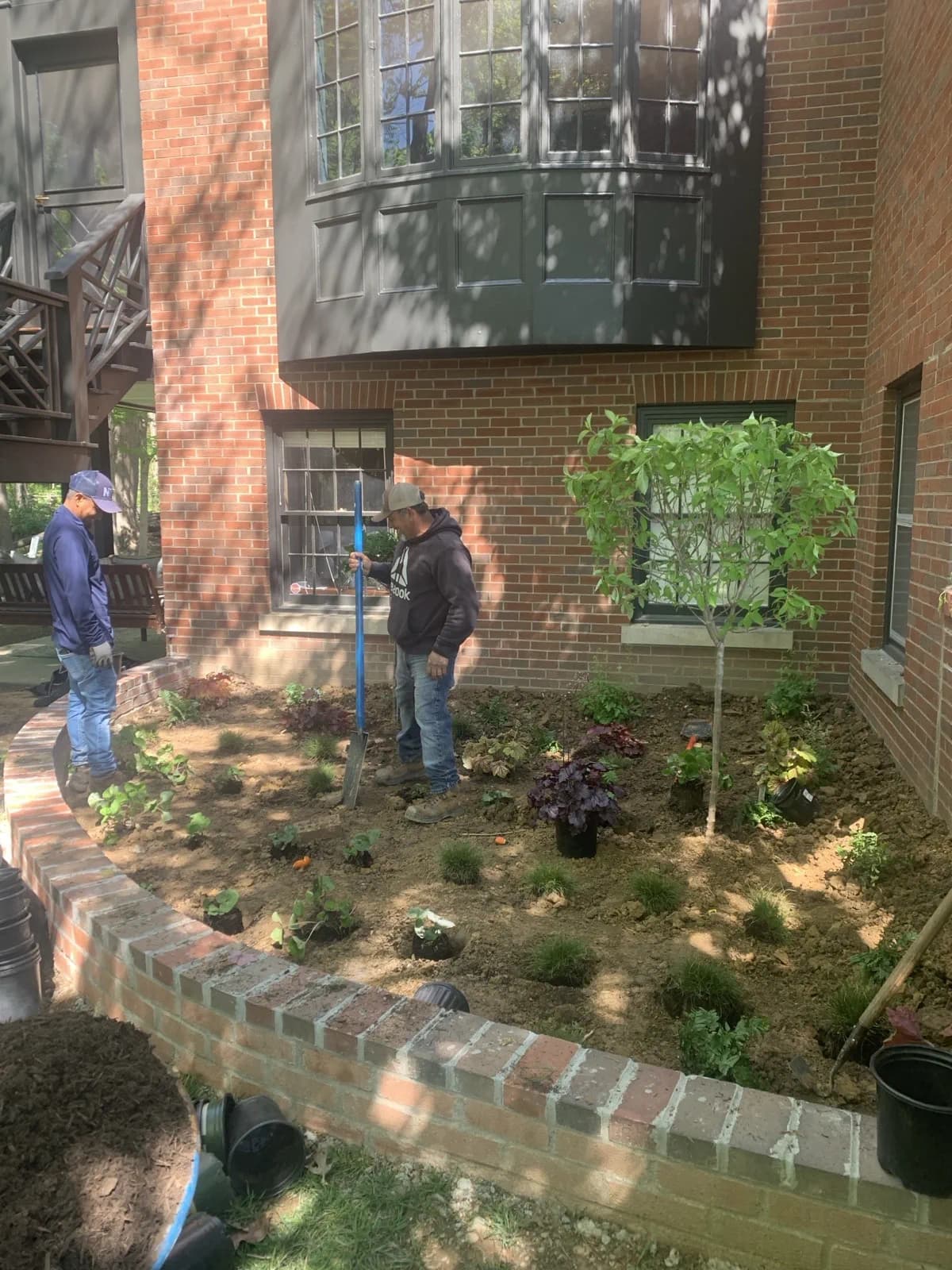 Lexington Debris Removal & Cleanup gallery image 3