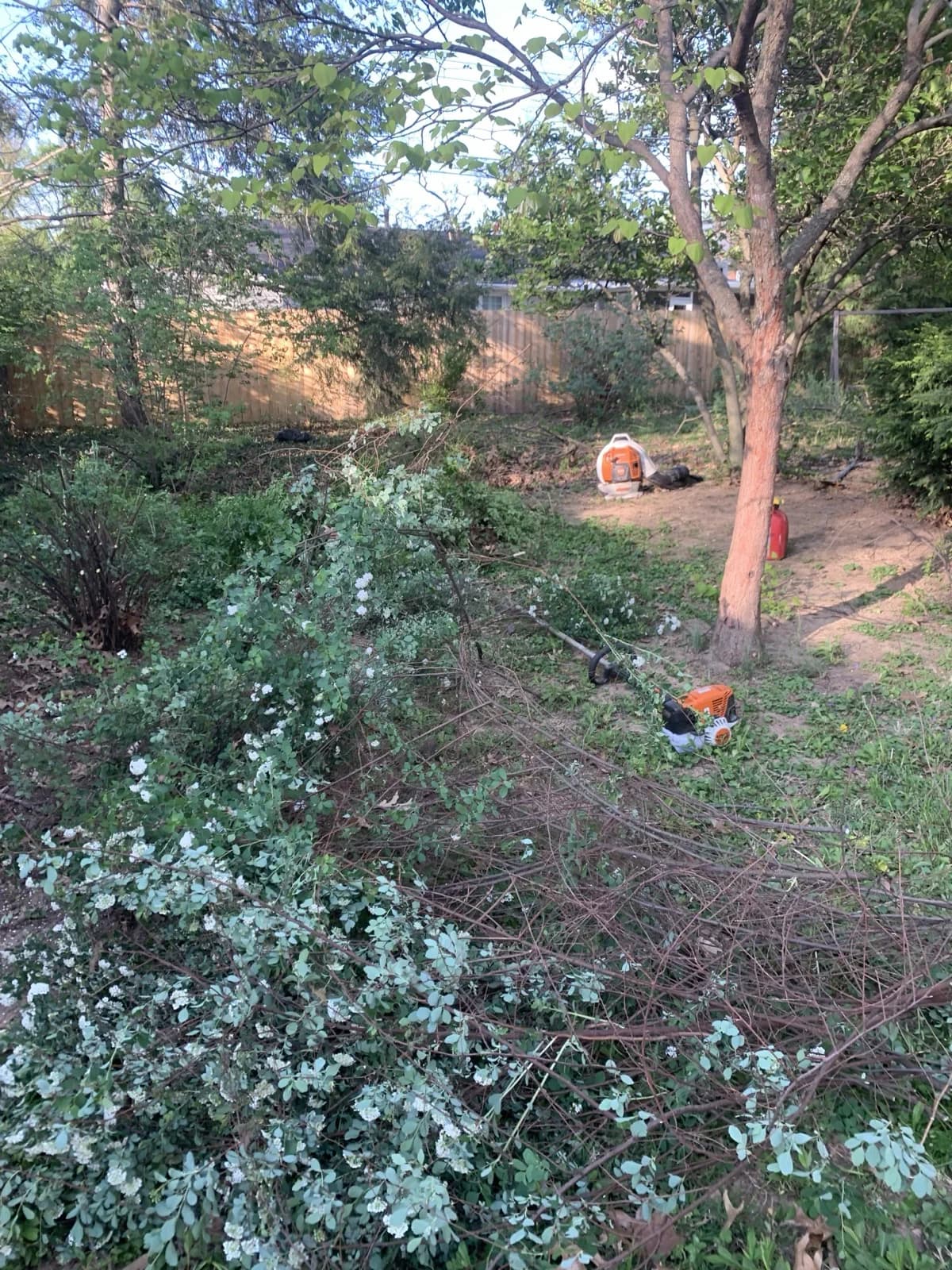 Lexington Debris Removal & Cleanup gallery image 7