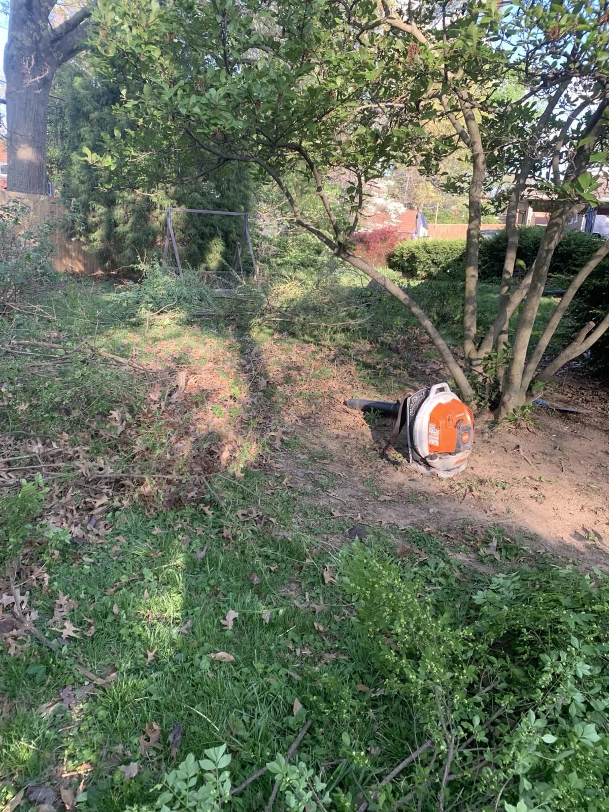 Lexington Debris Removal & Cleanup gallery image 6