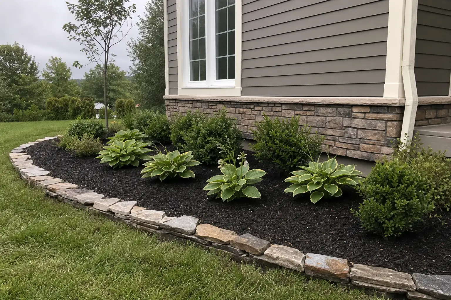 Concept image of a front foundation bed with dark mulch, hostas, shrubs, and a defined curved edge