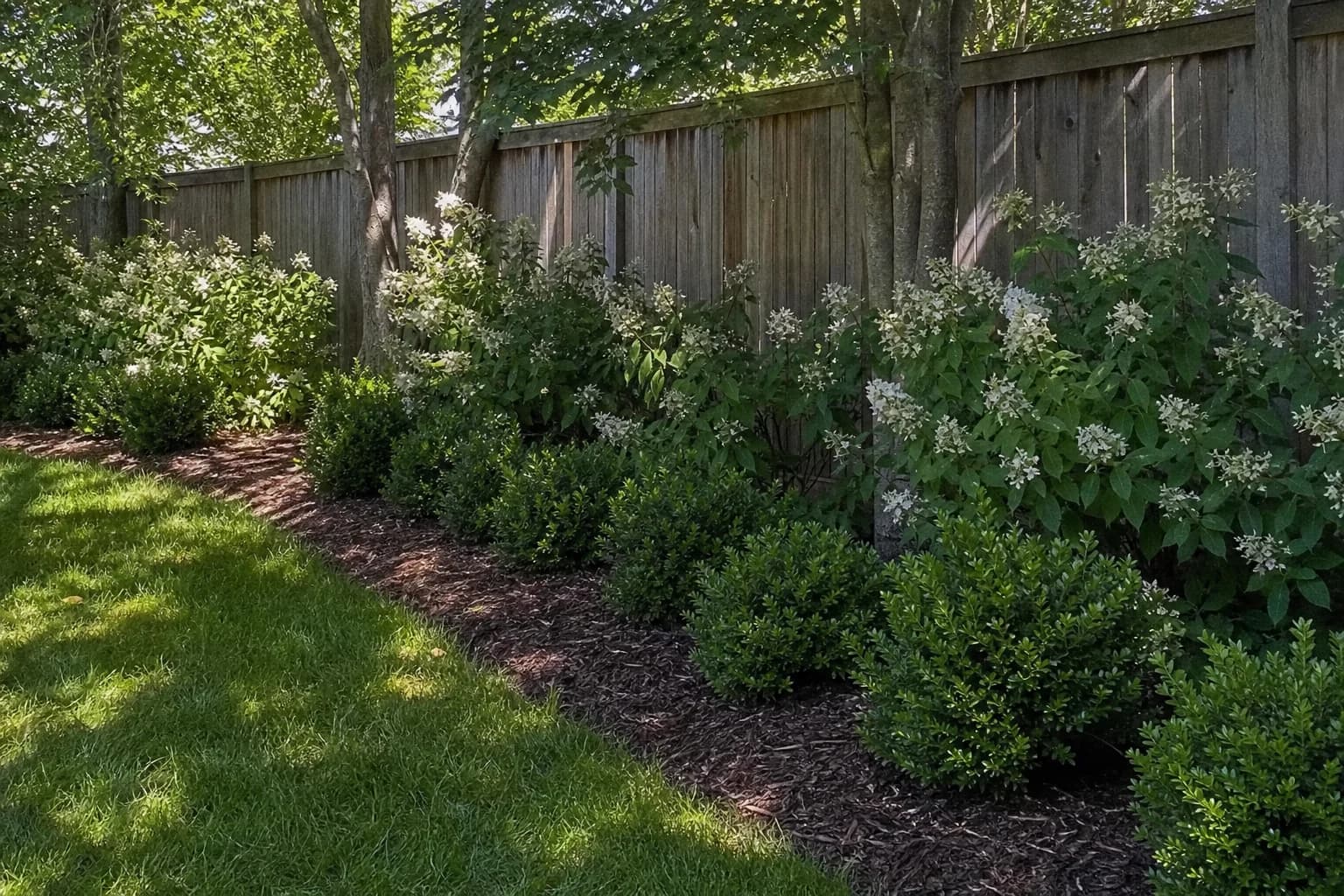Deer-resistant Viburnum and Boxwood plantings in a suburban backyard
