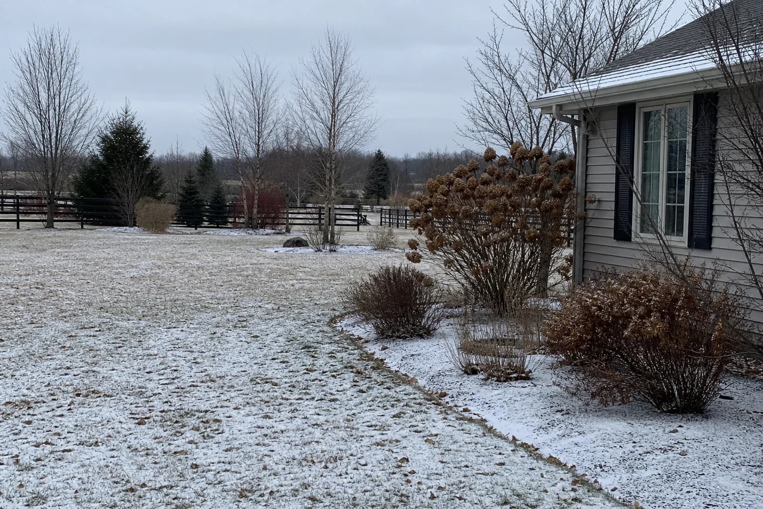 Snow-covered yard representing a high-risk dormant season for planting