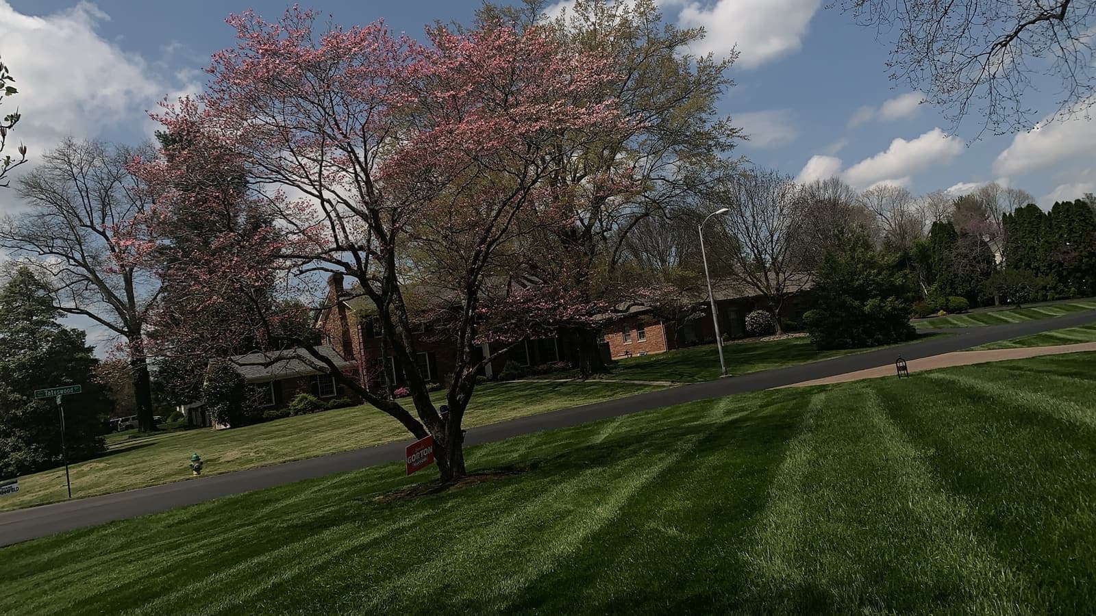 Residential lawn with visible mowing stripes in Lexington, Kentucky