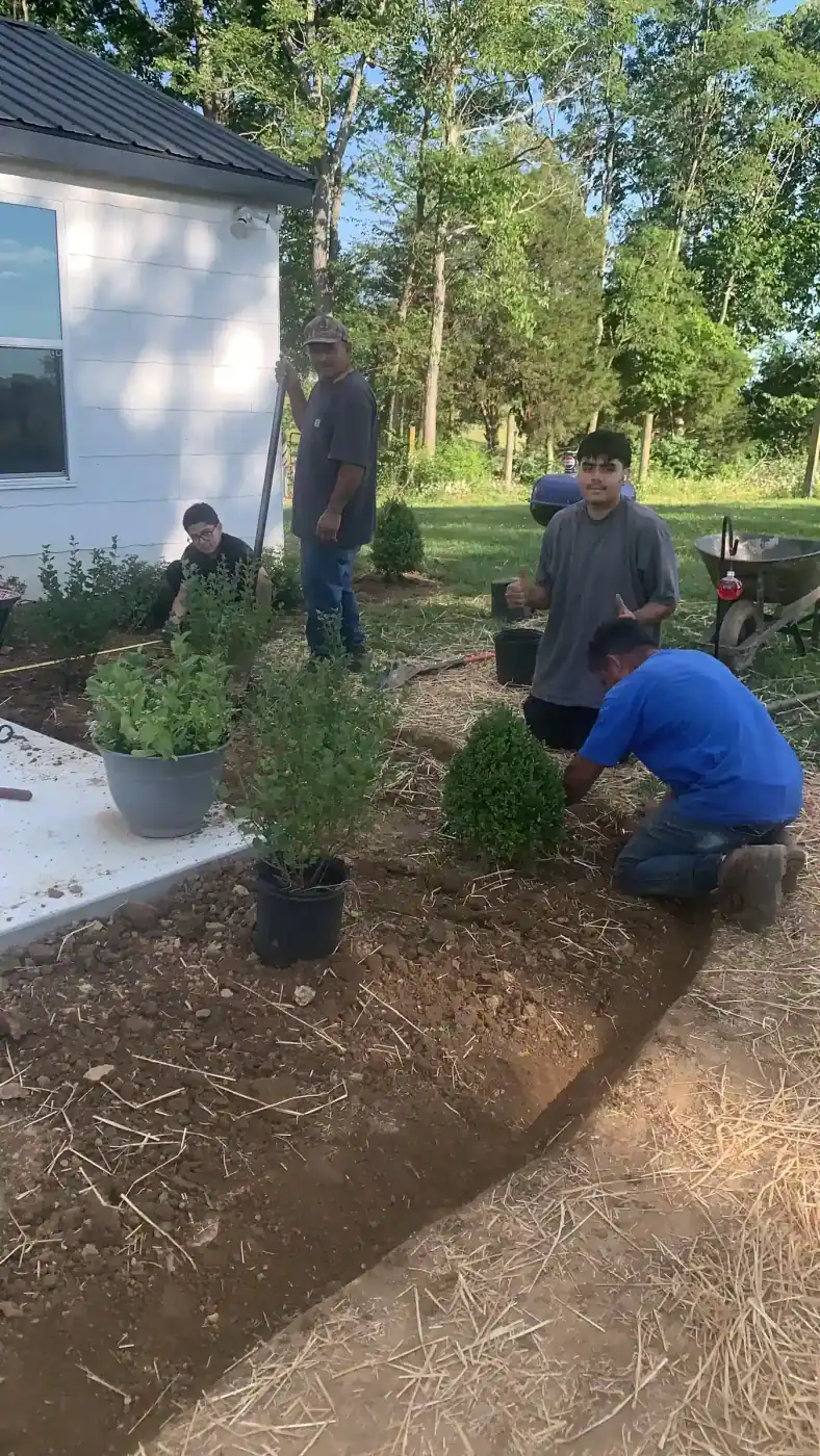 Seasonal Mulch Refresh gallery image 2