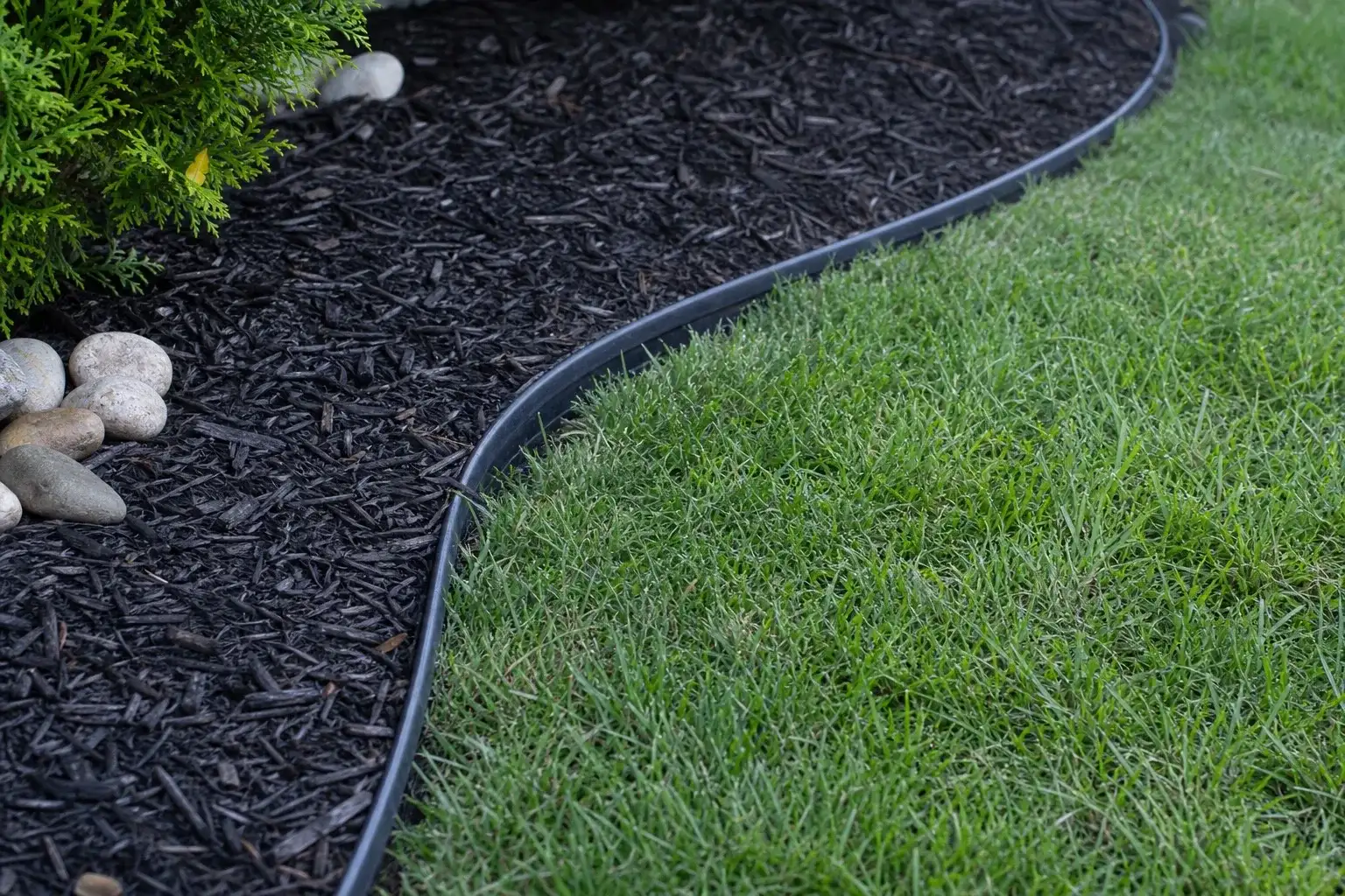 Georgetown Slope Planting gallery image 3