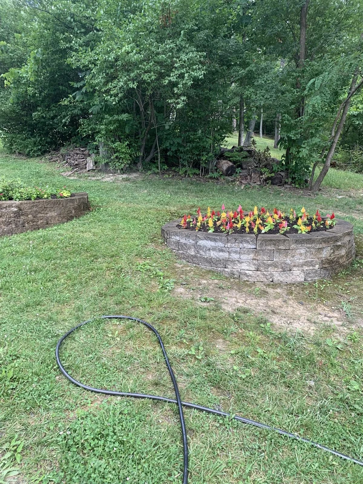 Lake Carnico Gravel Bed Renovation gallery image 3