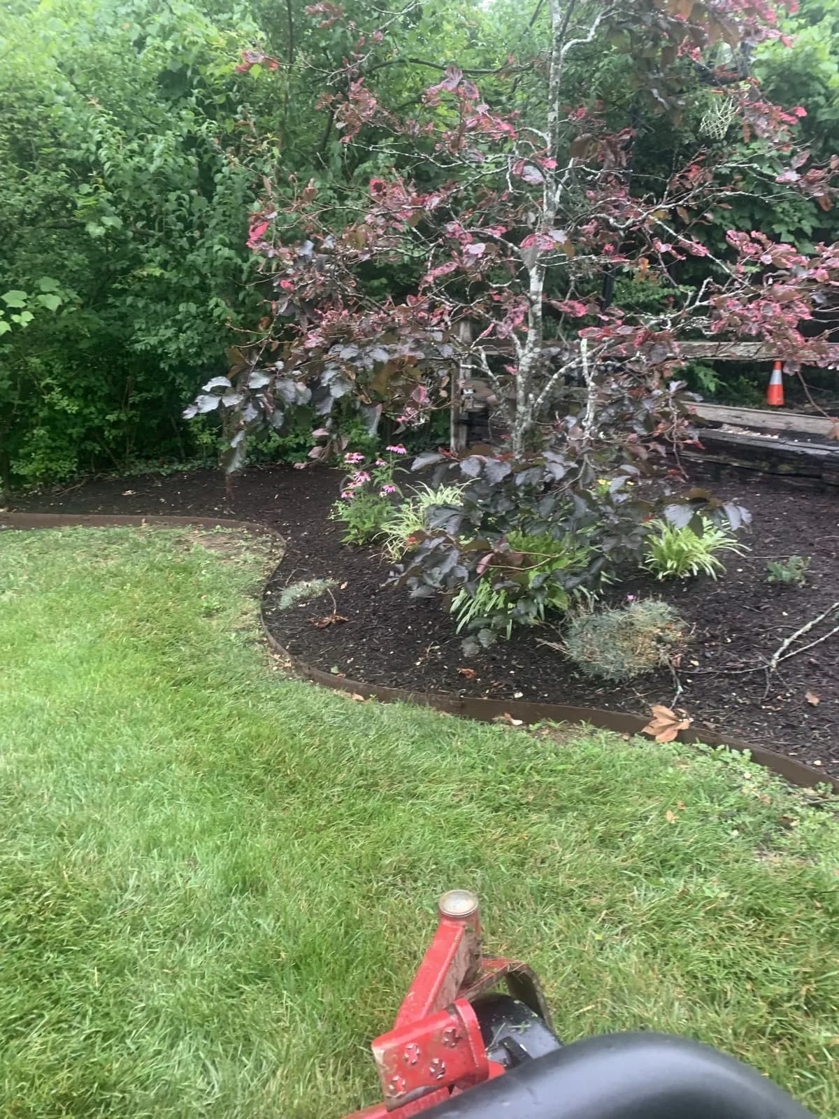 Lake Carnico Gravel Bed Renovation gallery image 5