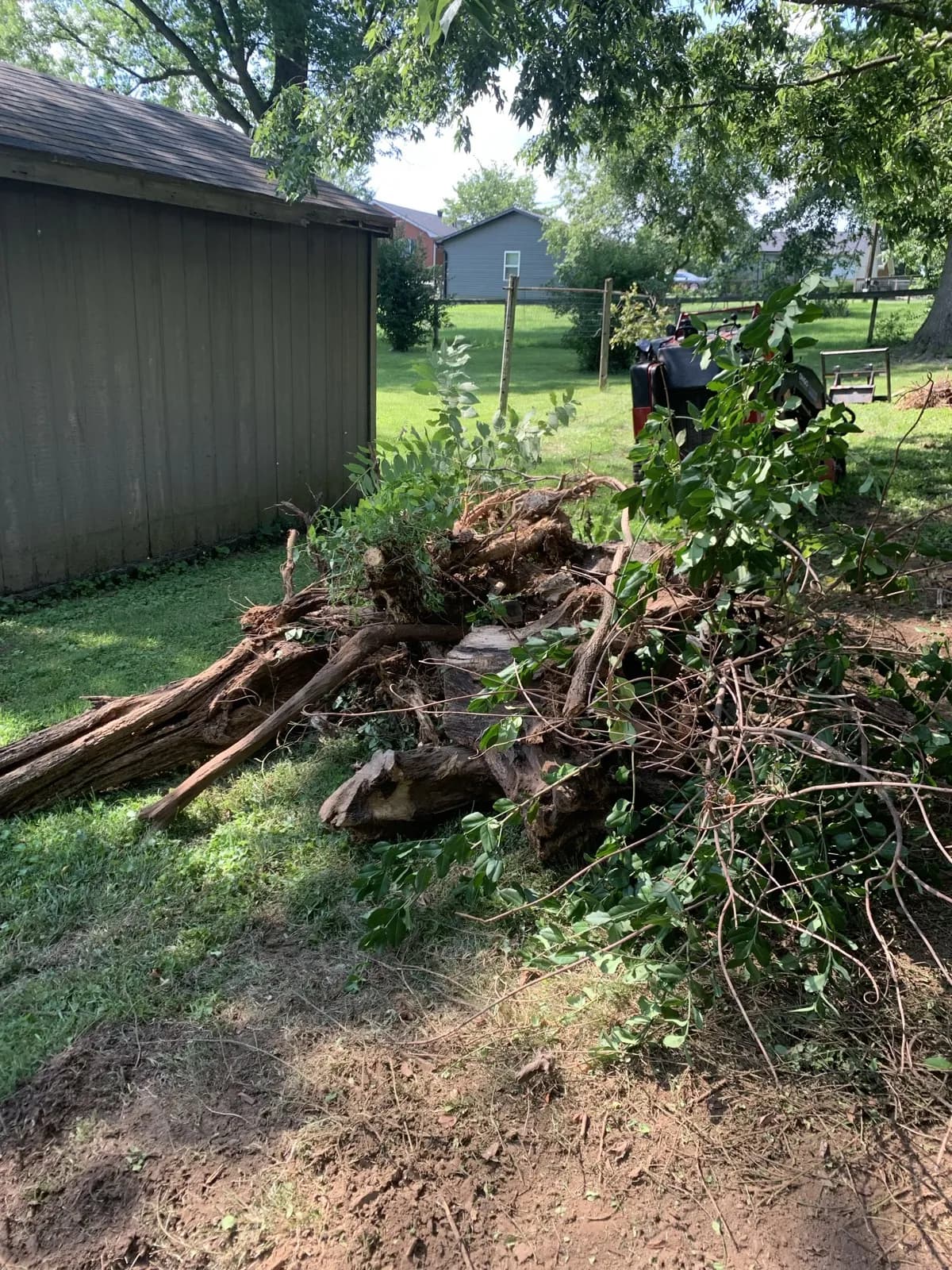 Paris Brush Clearing & Stump Grinding gallery image 3