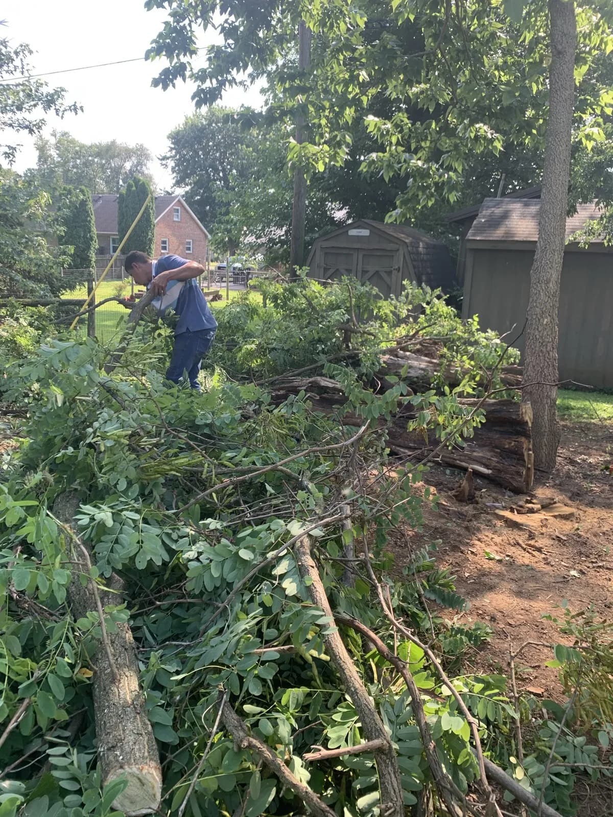 Paris Brush Clearing & Stump Grinding gallery image 4