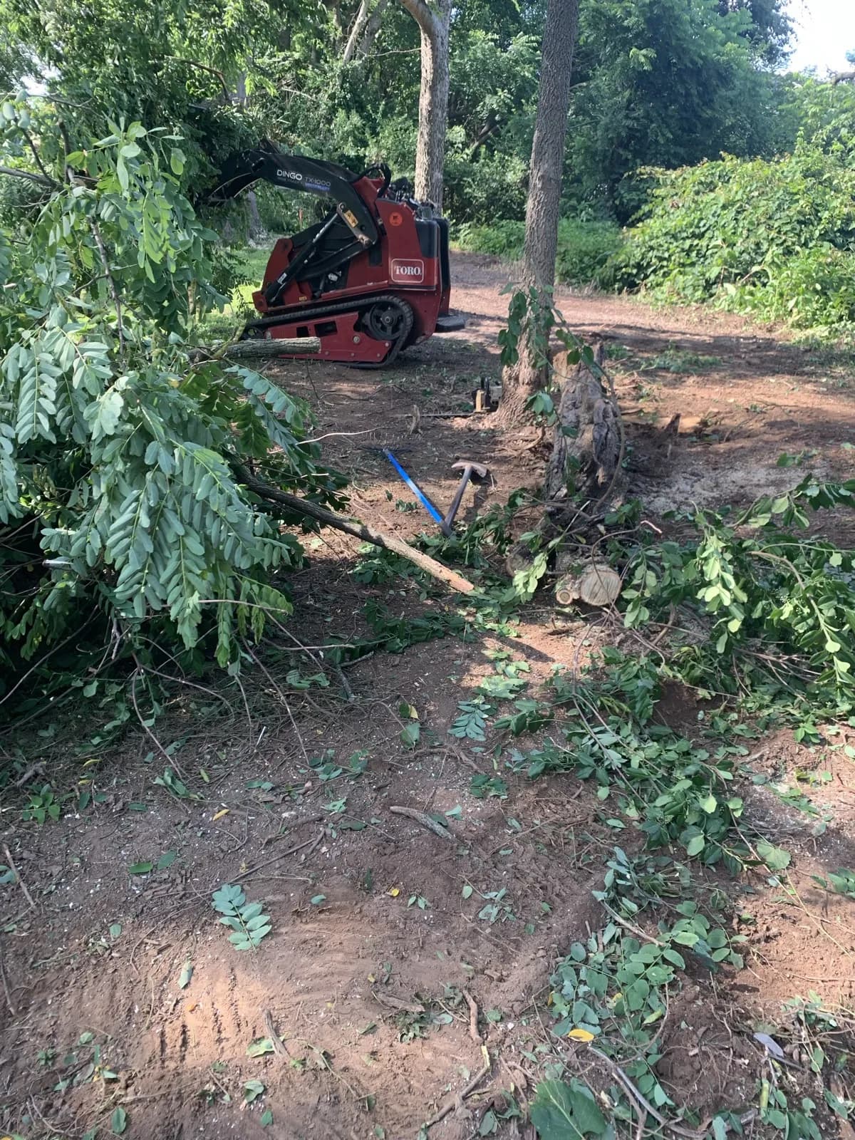 Paris Brush Clearing & Stump Grinding gallery image 5