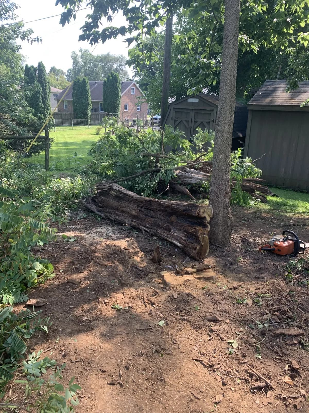 Paris Brush Clearing & Stump Grinding