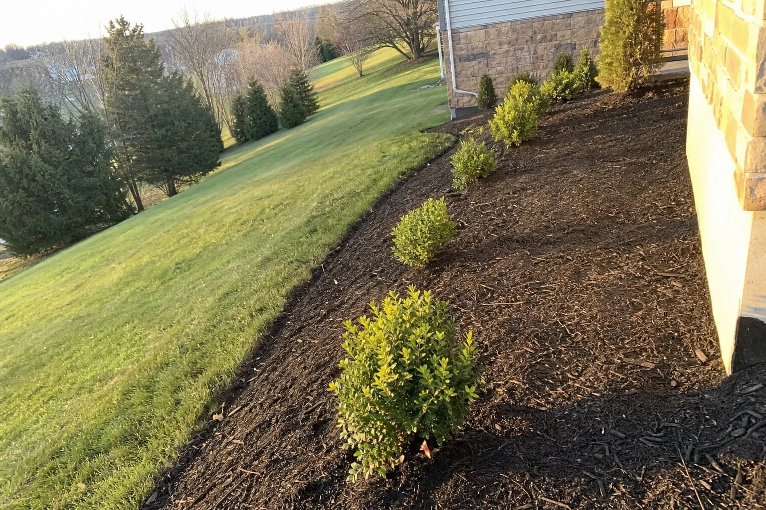 Georgetown Slope Planting gallery image 2