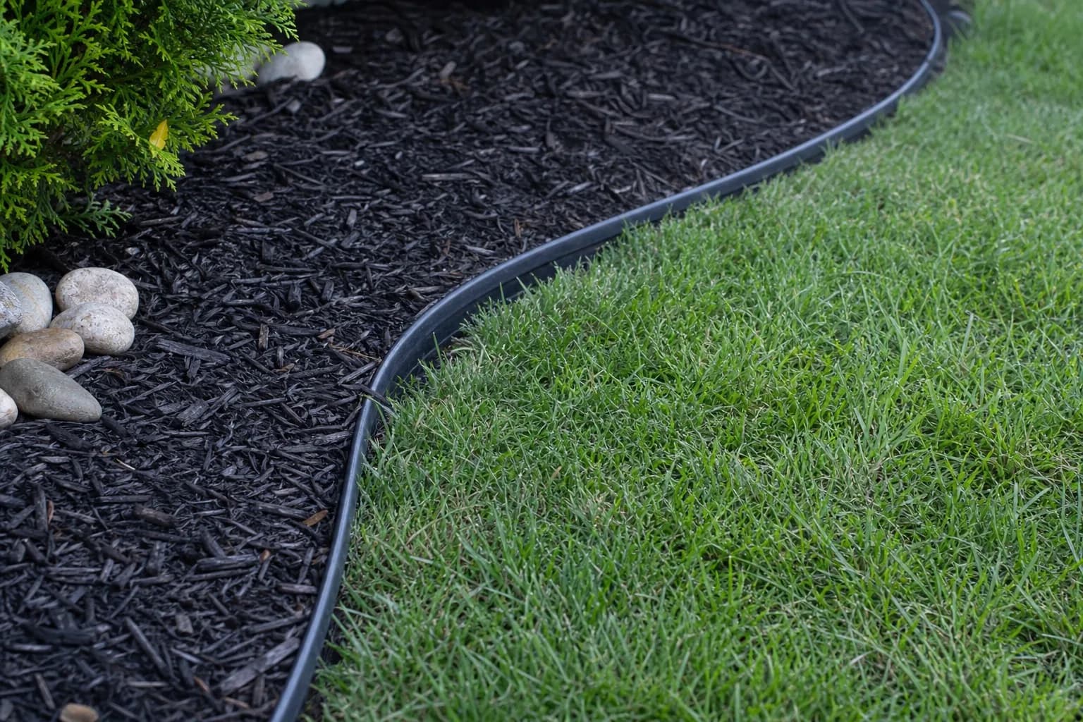 Georgetown Slope Planting gallery image 3