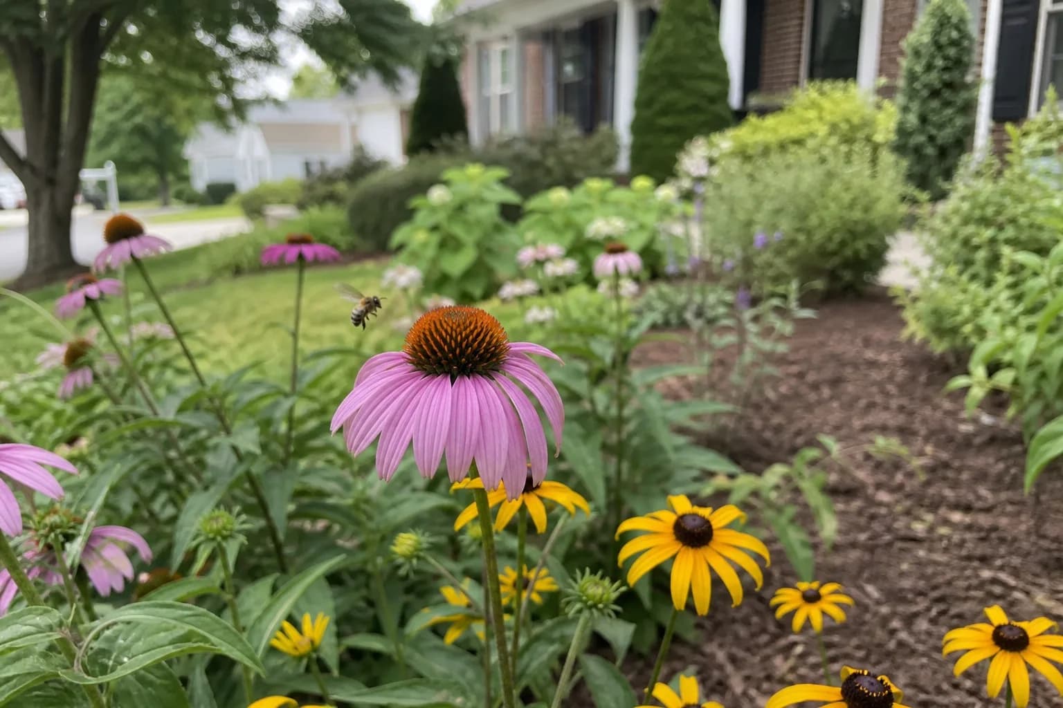 Paris Pollinator Bed Refresh gallery image 2