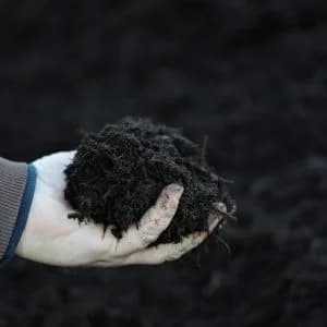Hardwood brown mulch held in a hand for product color and texture