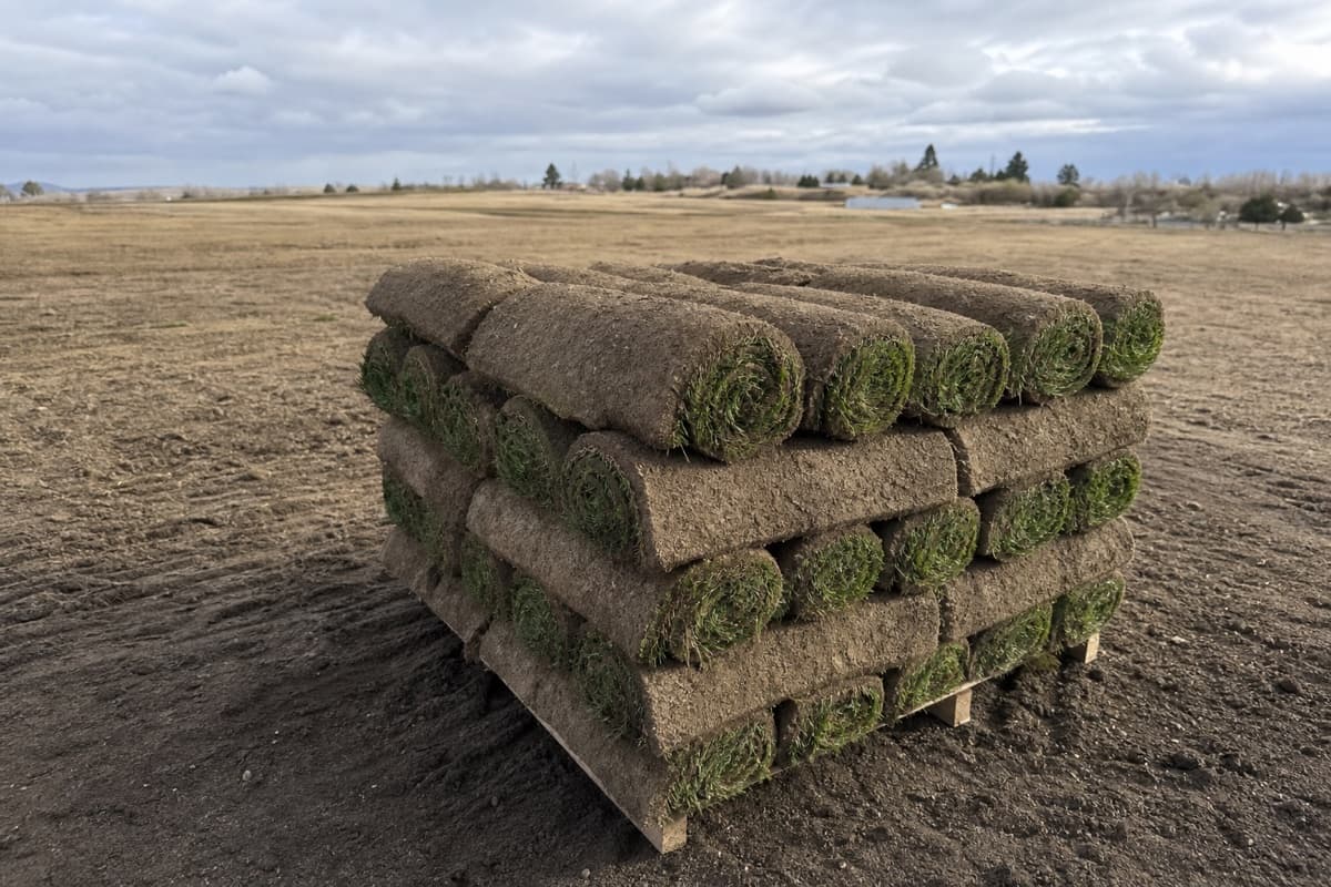 Sod Pallets Delivered