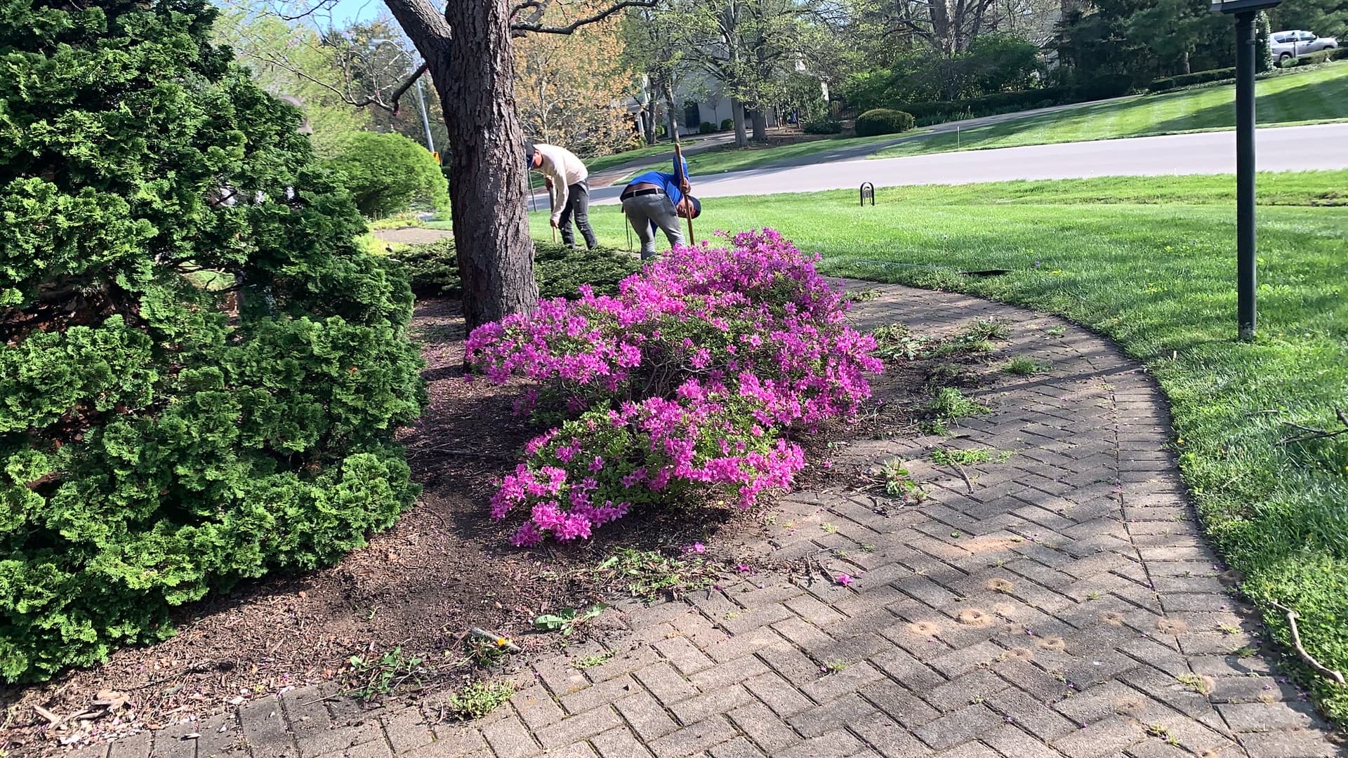 Seasonal Mulch Refresh gallery image 6