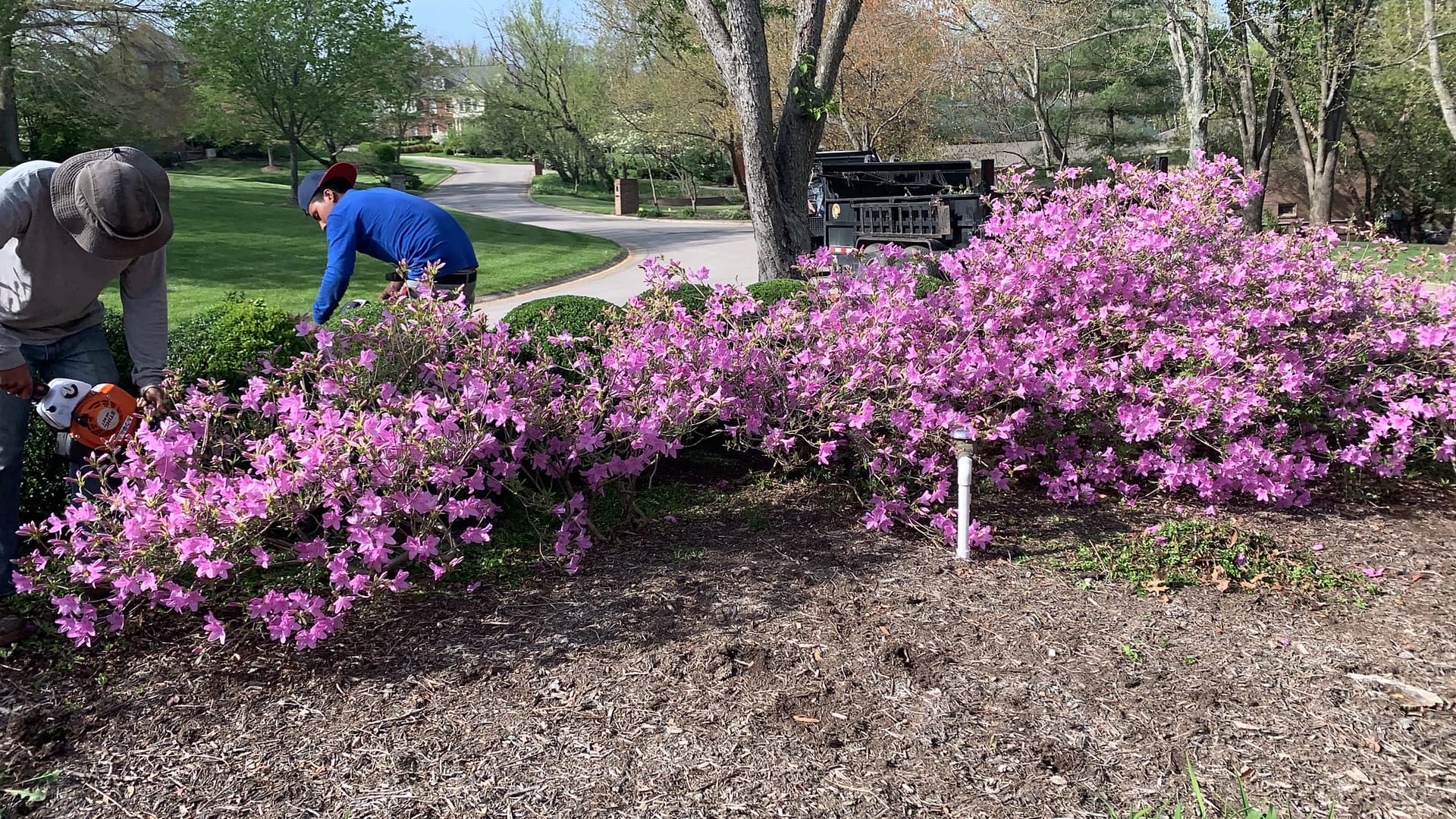 Seasonal Mulch Refresh gallery image 3