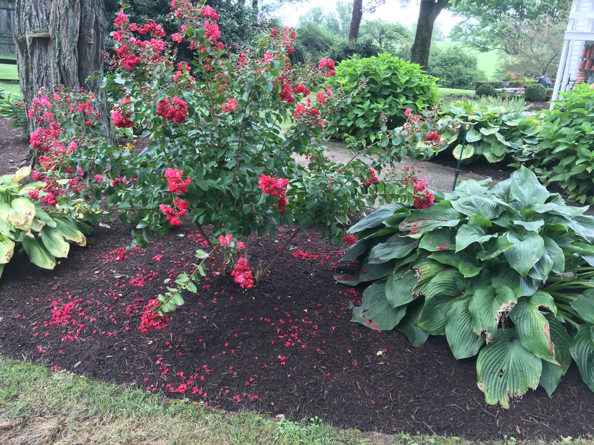 Seasonal Mulch Refresh gallery image 4