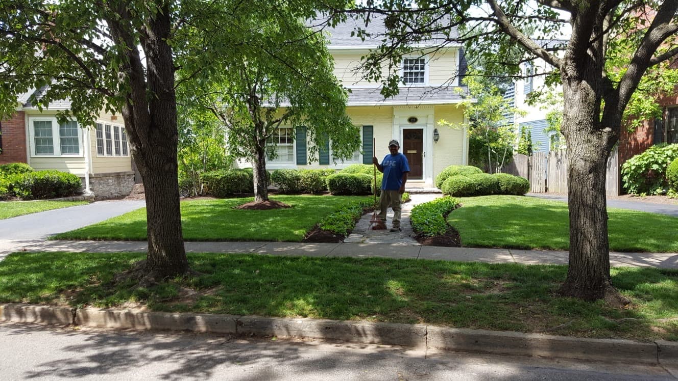 Mature front-yard landscape with layered trees and a maintained lawn