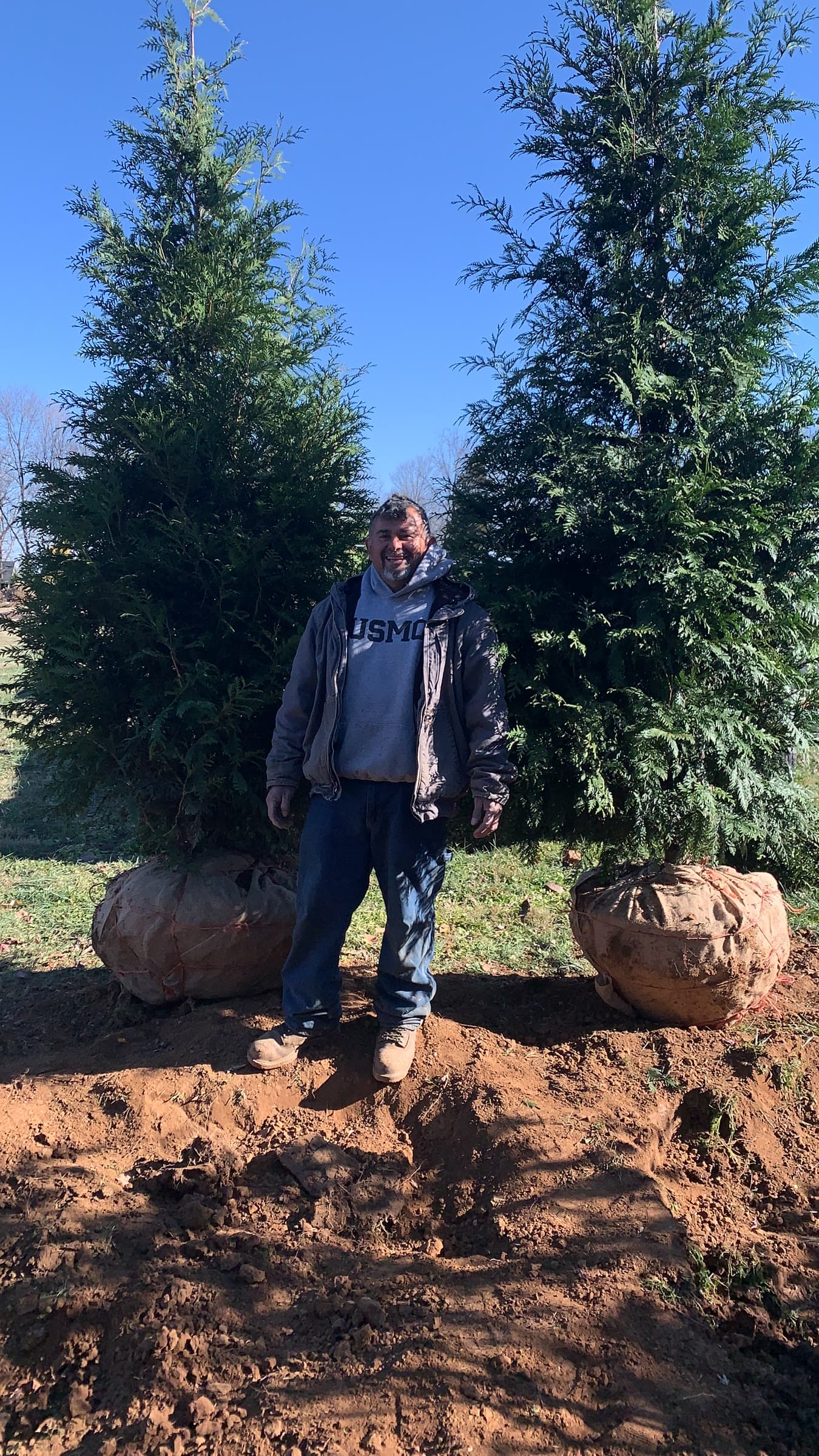 Crew planting a new tree during a residential landscape install